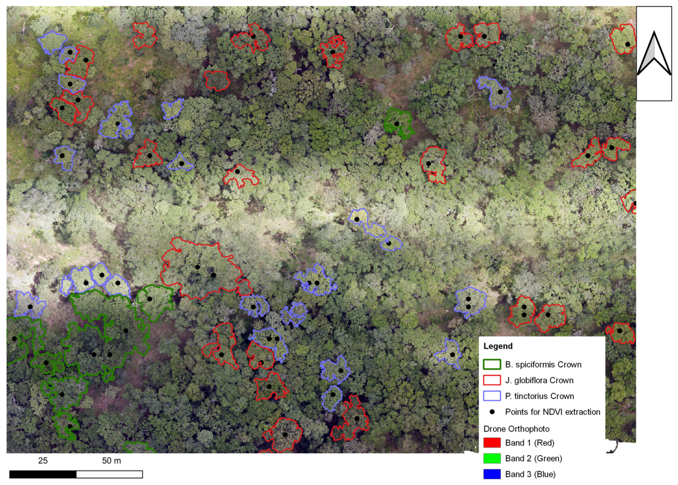 Remotesensing 16 04261 g003 Remotesensing 16 04261 g003