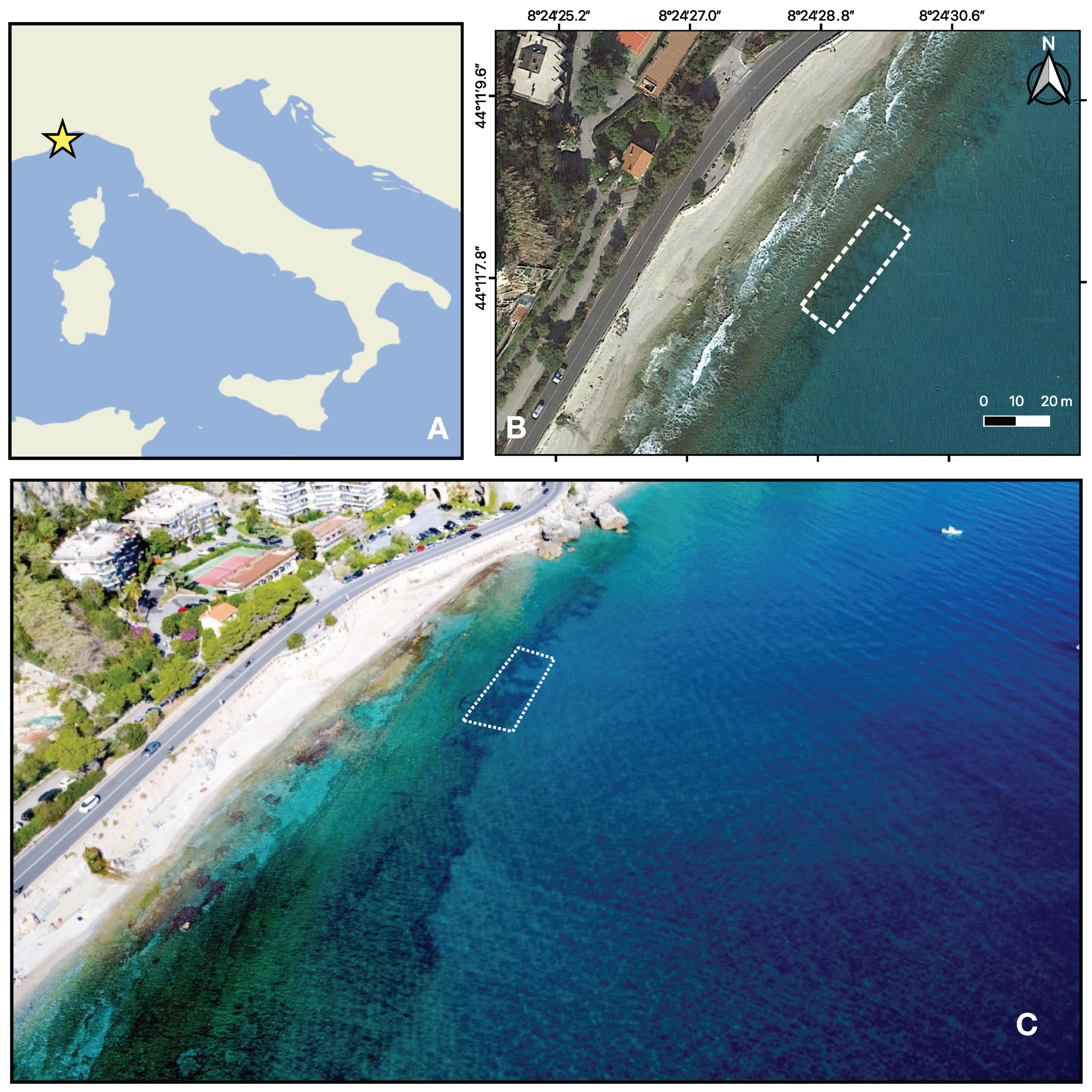 Remotesensing 16 04321 g001