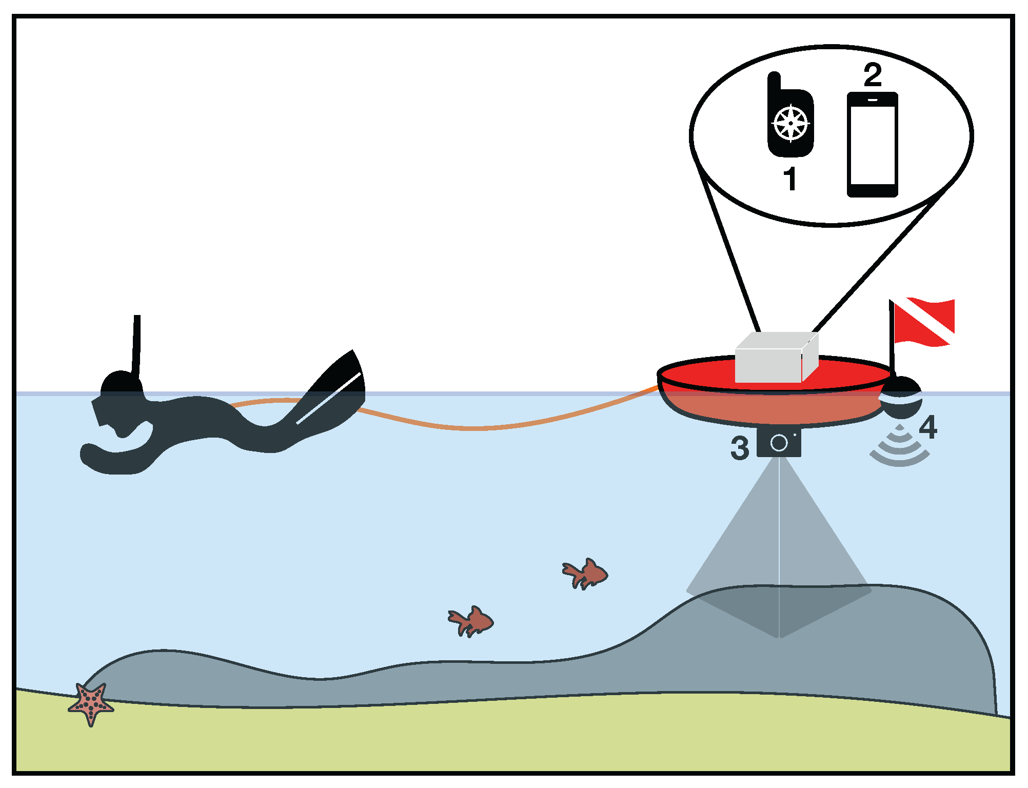 Remotesensing 16 04321 g002