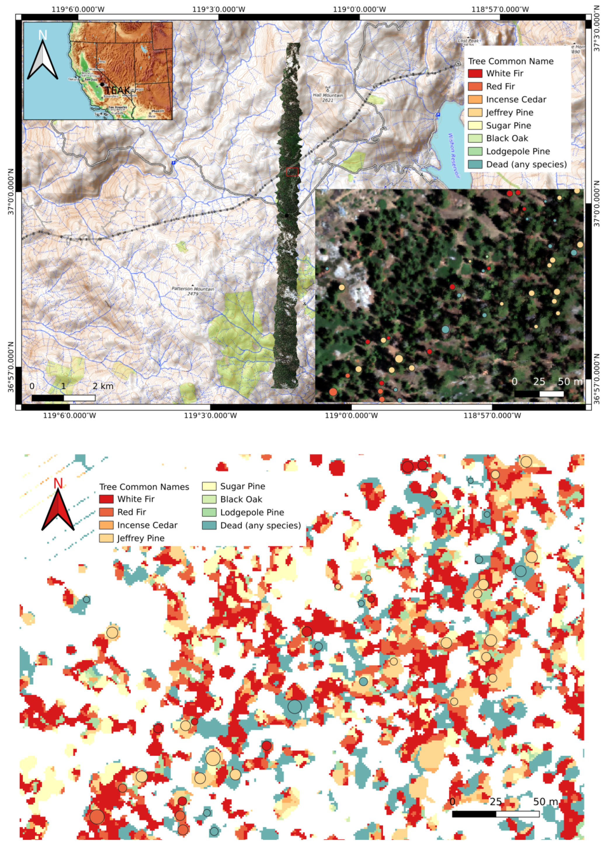 Remotesensing 16 04365 g008