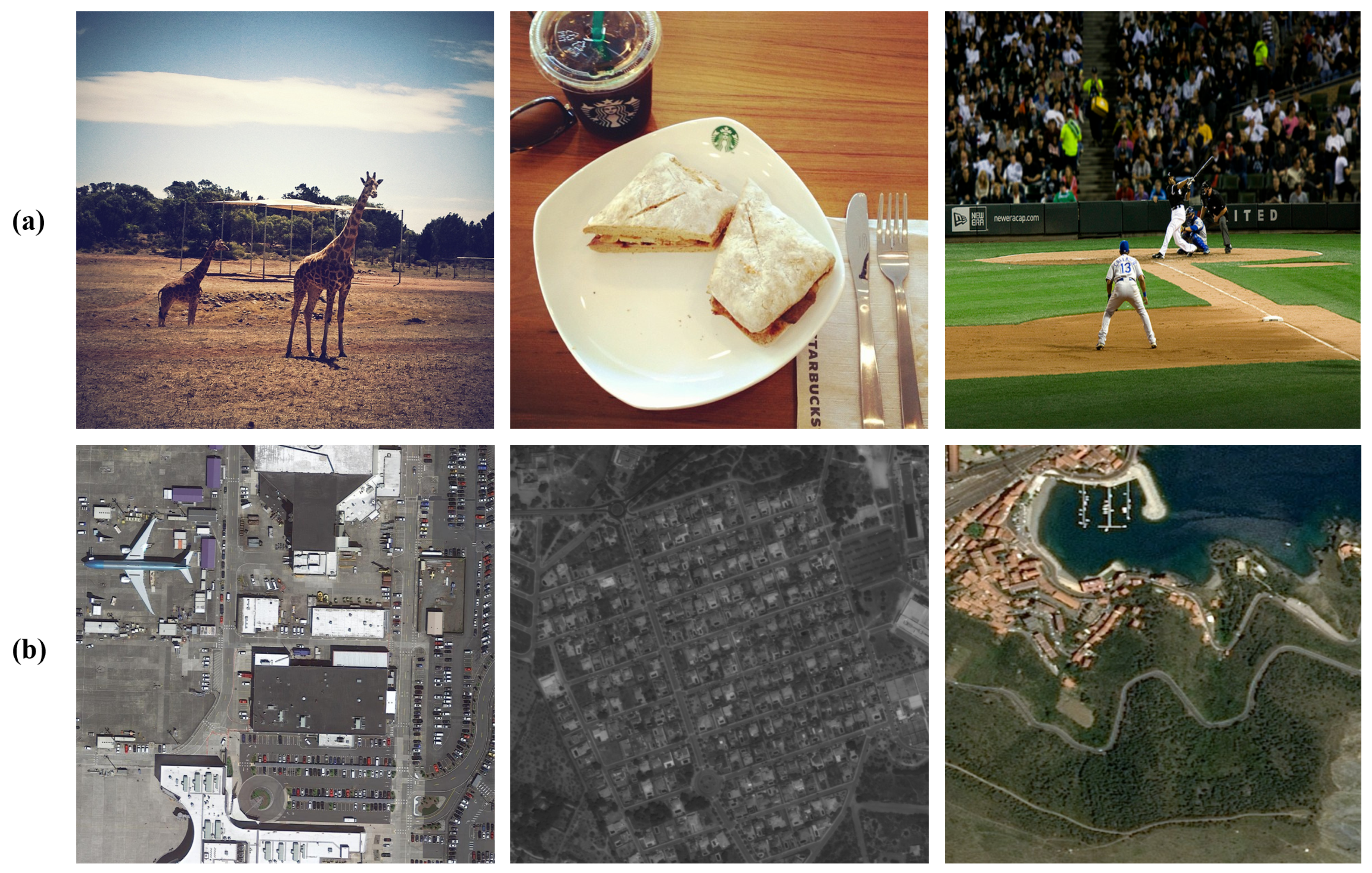 Remotesensing 16 04374 g001