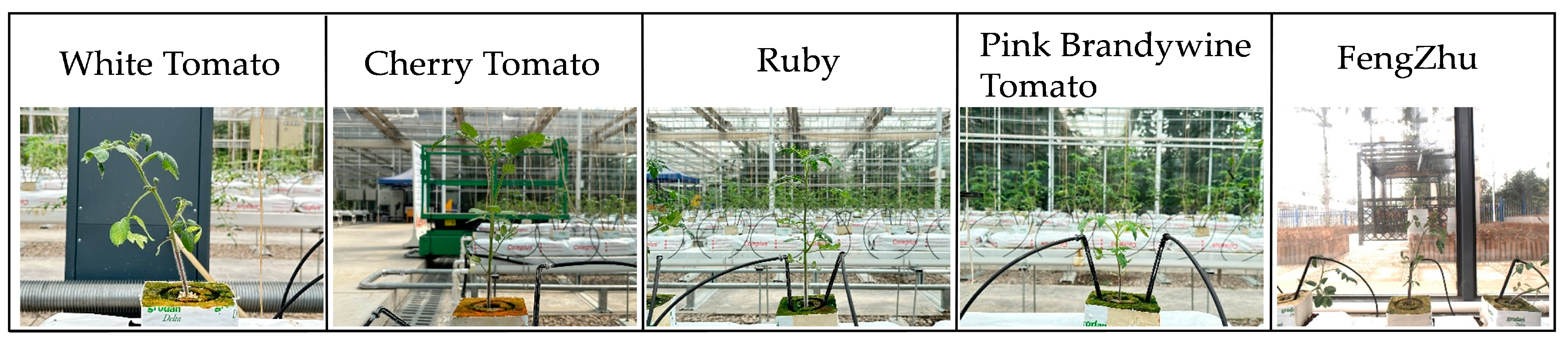 Remotesensing 16 04385 g002