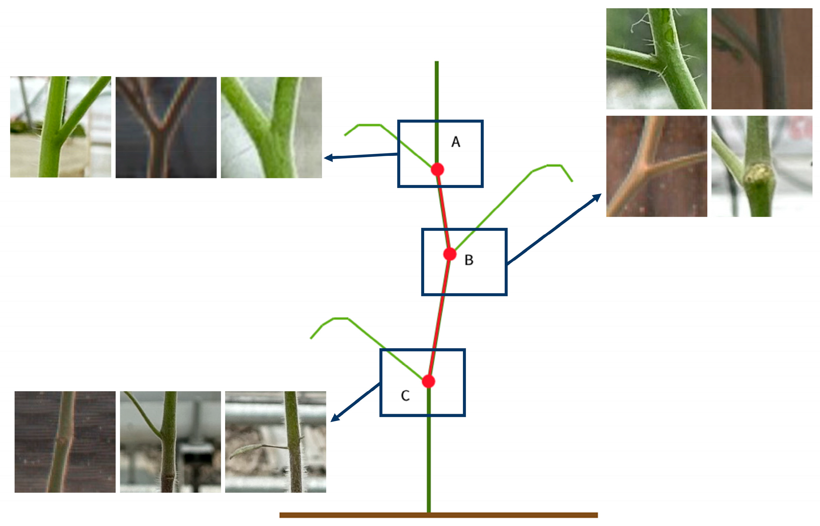 Remotesensing 16 04385 g003