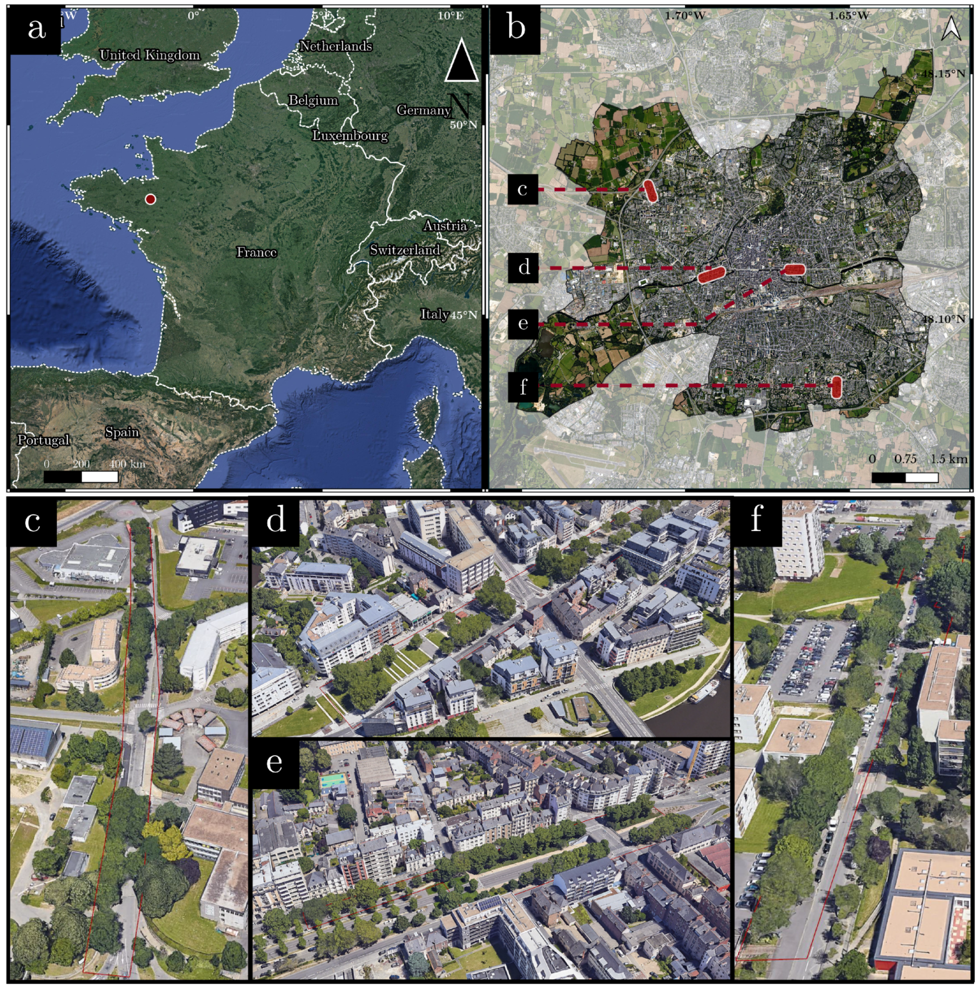 Remotesensing 16 04402 g005 Remotesensing 16 04402 g005