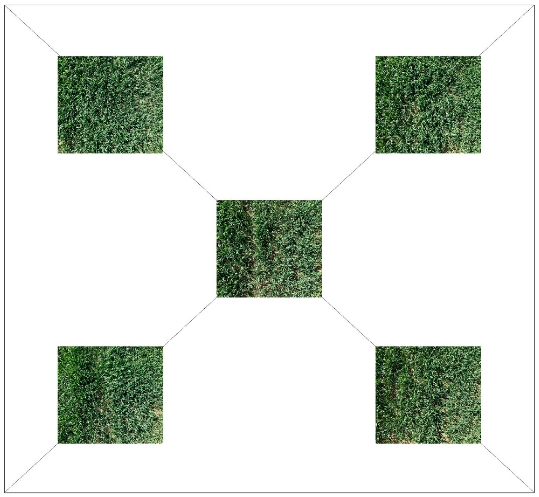 Remotesensing 16 04441 g003 Remotesensing 16 04441 g003