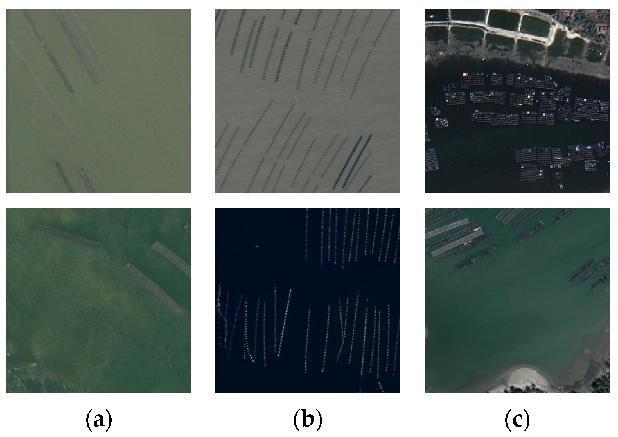 Remotesensing 16 04522 g004 Remotesensing 16 04522 g004