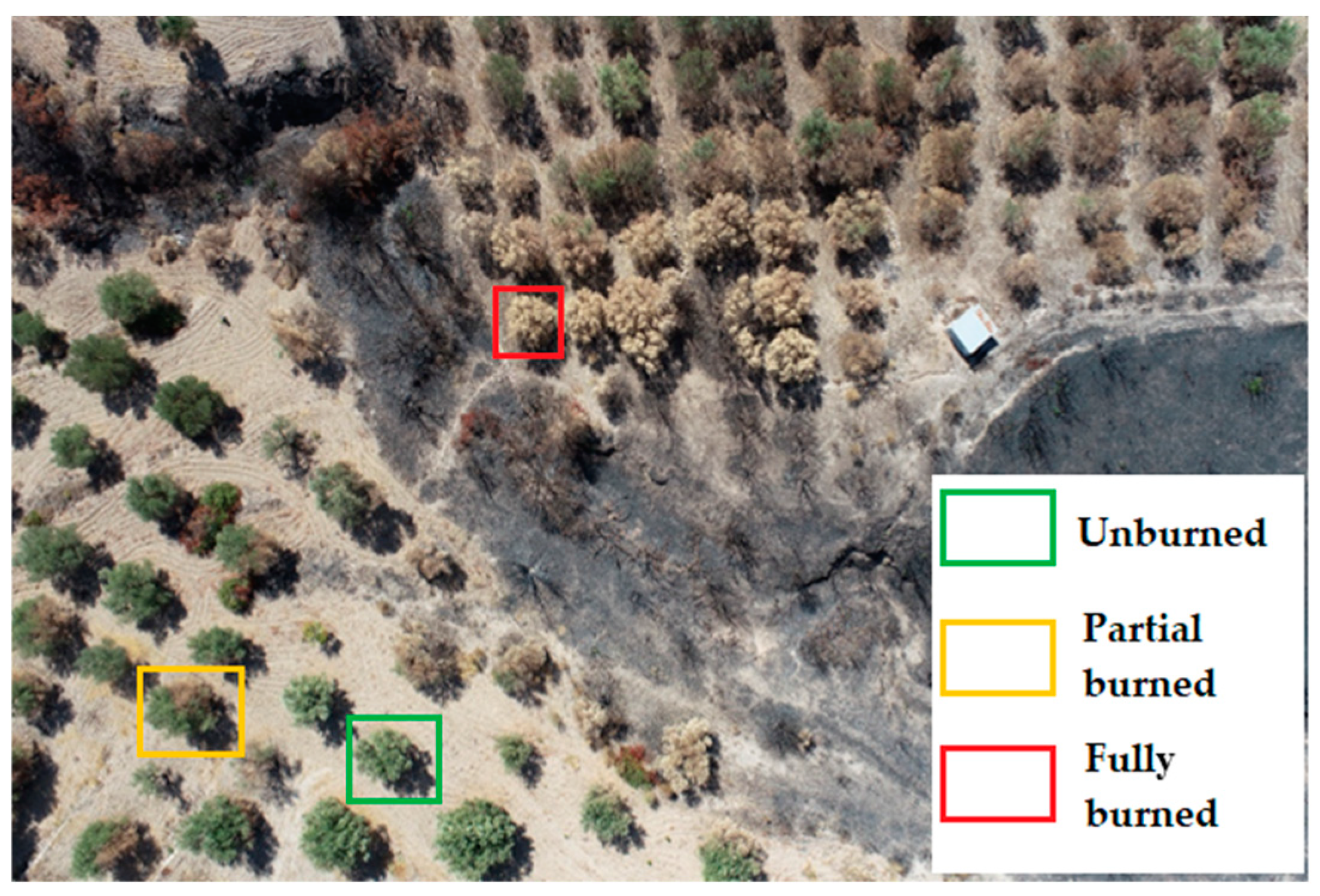 Remotesensing 16 04531 g002 Remotesensing 16 04531 g002