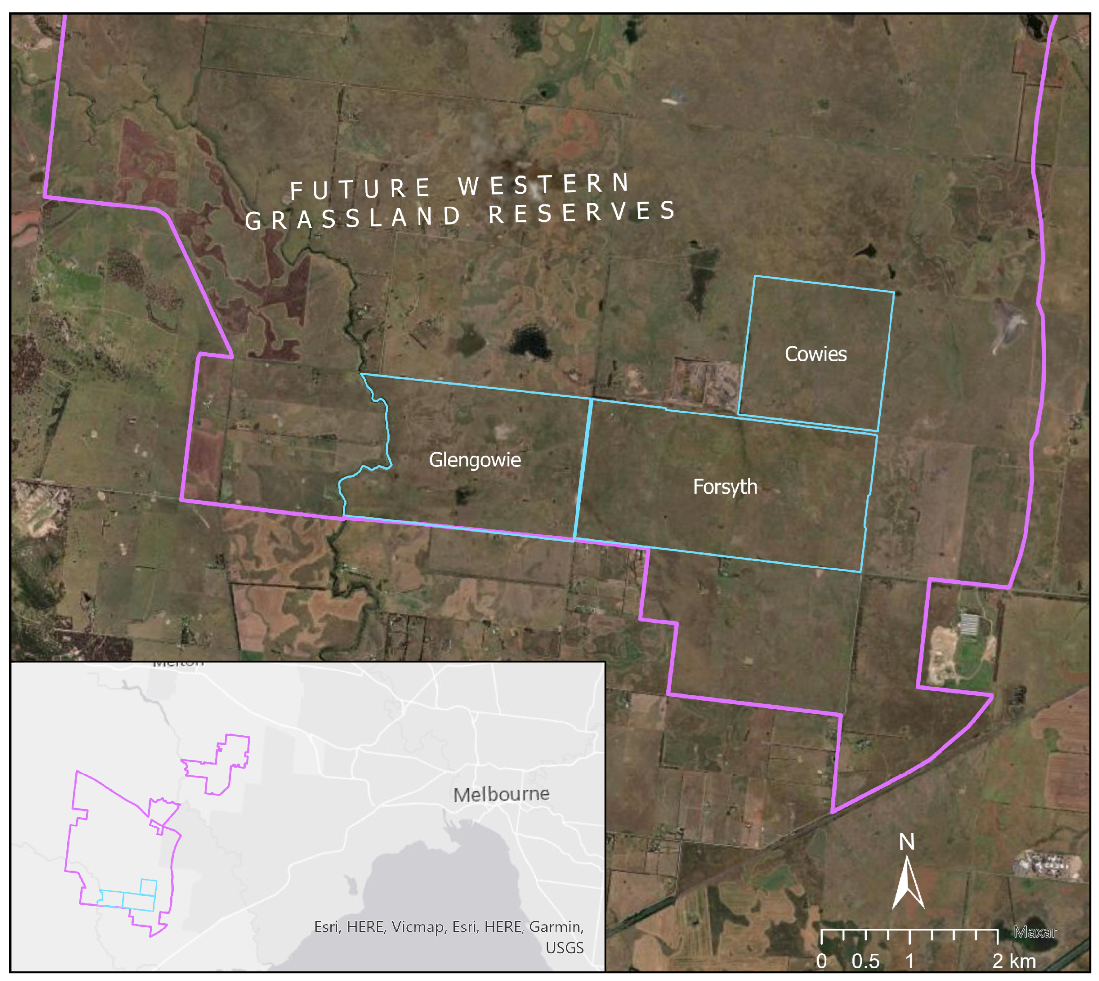 Remotesensing 16 04538 g001