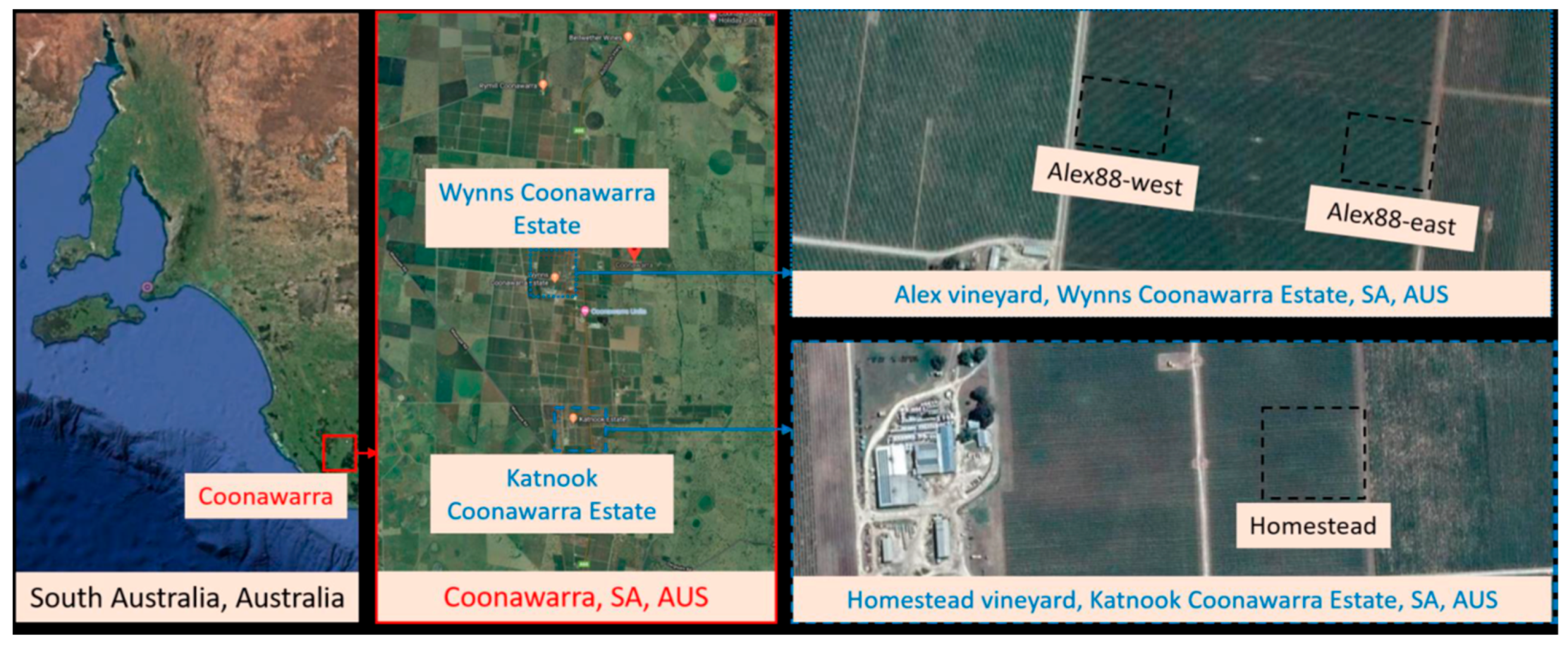 Remotesensing 16 04539 g002