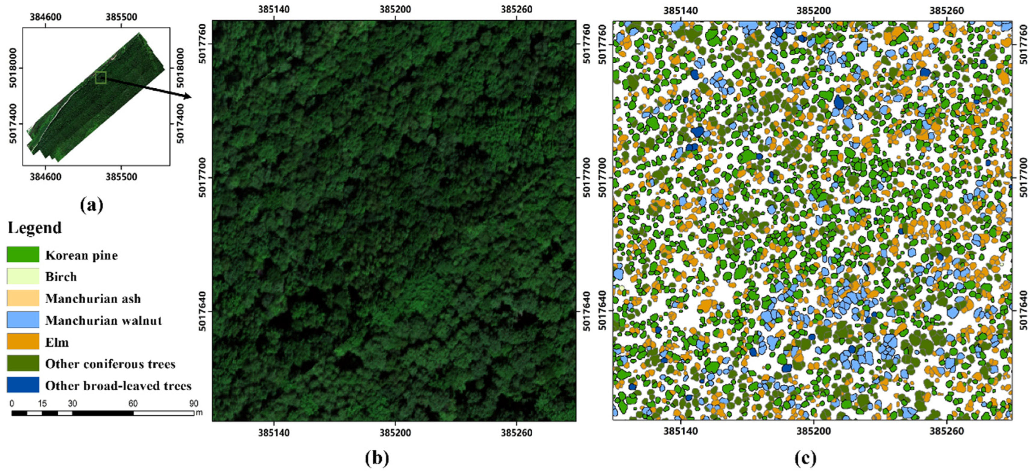 Remotesensing 16 04544 g010