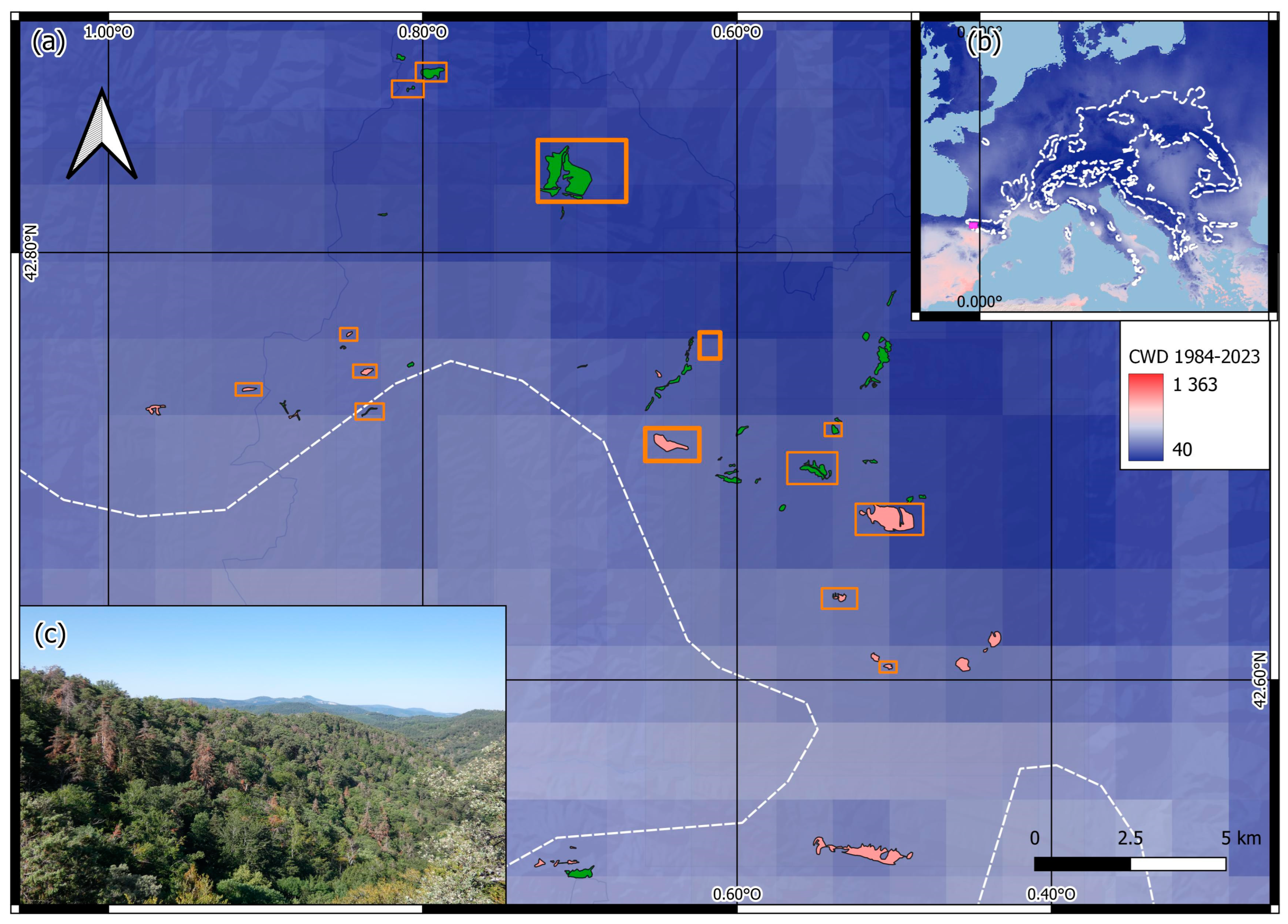 Remotesensing 16 04564 g001