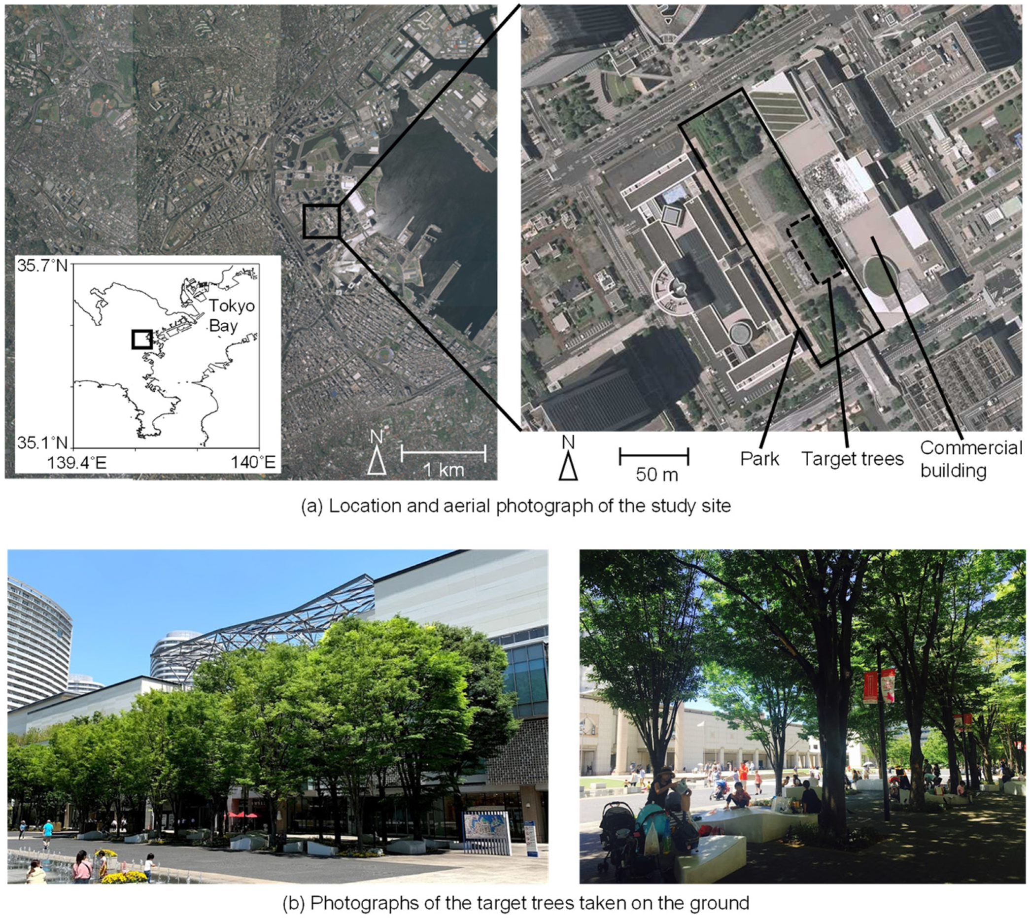 Remotesensing 16 04606 g001