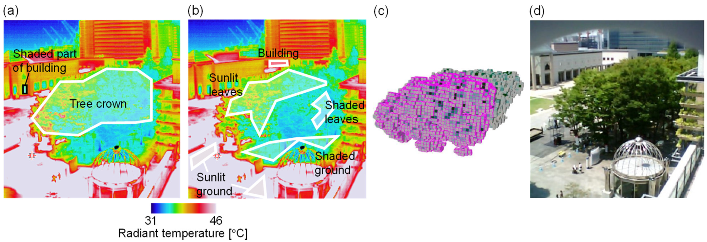 Remotesensing 16 04606 g004