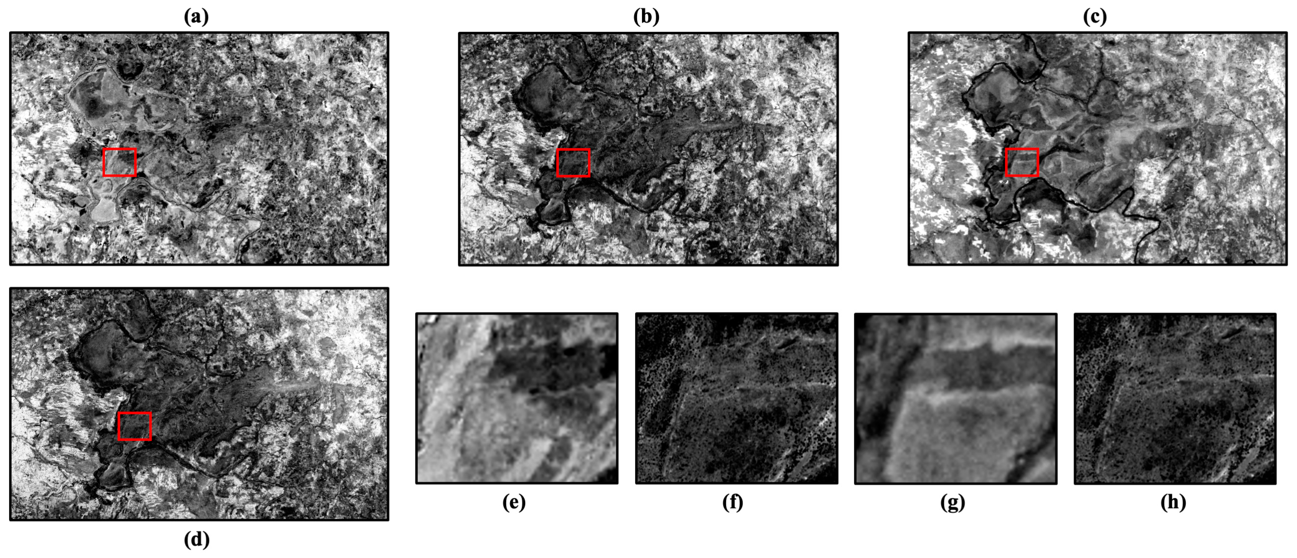 Remotesensing 16 04613 g010