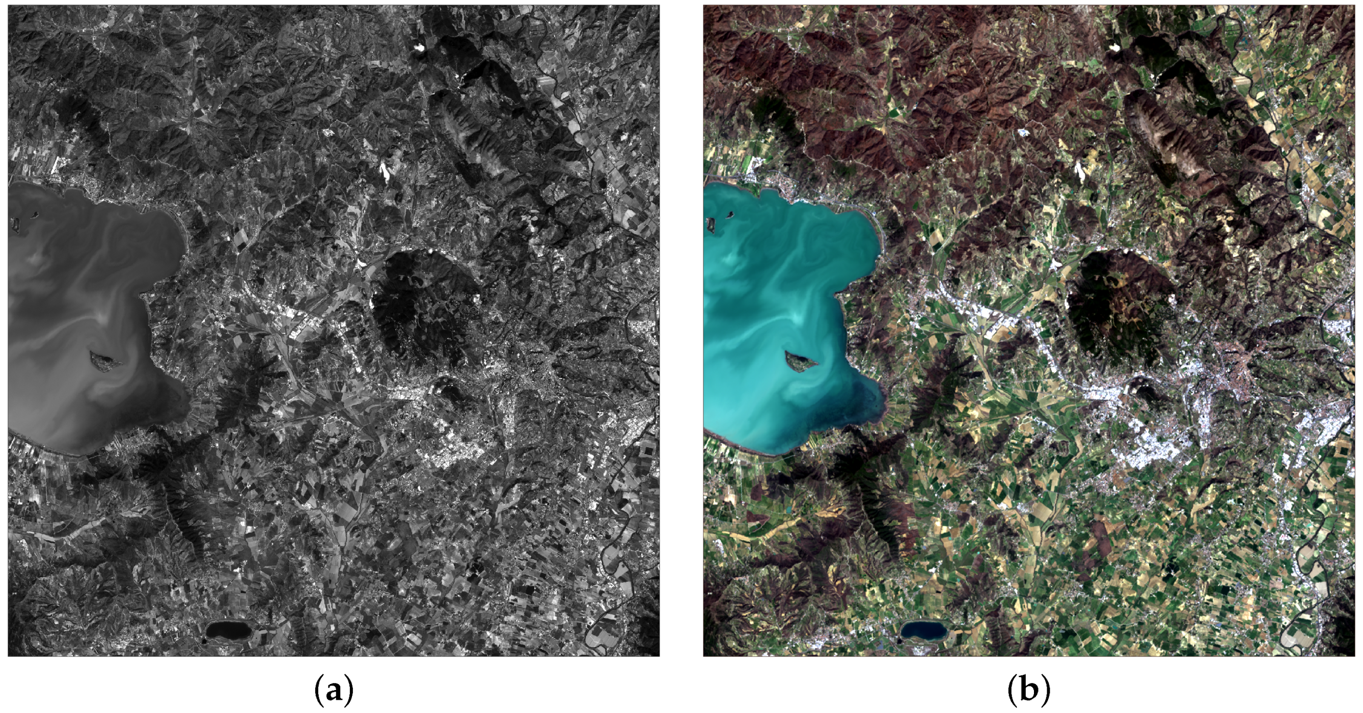 Remotesensing 16 04694 g003