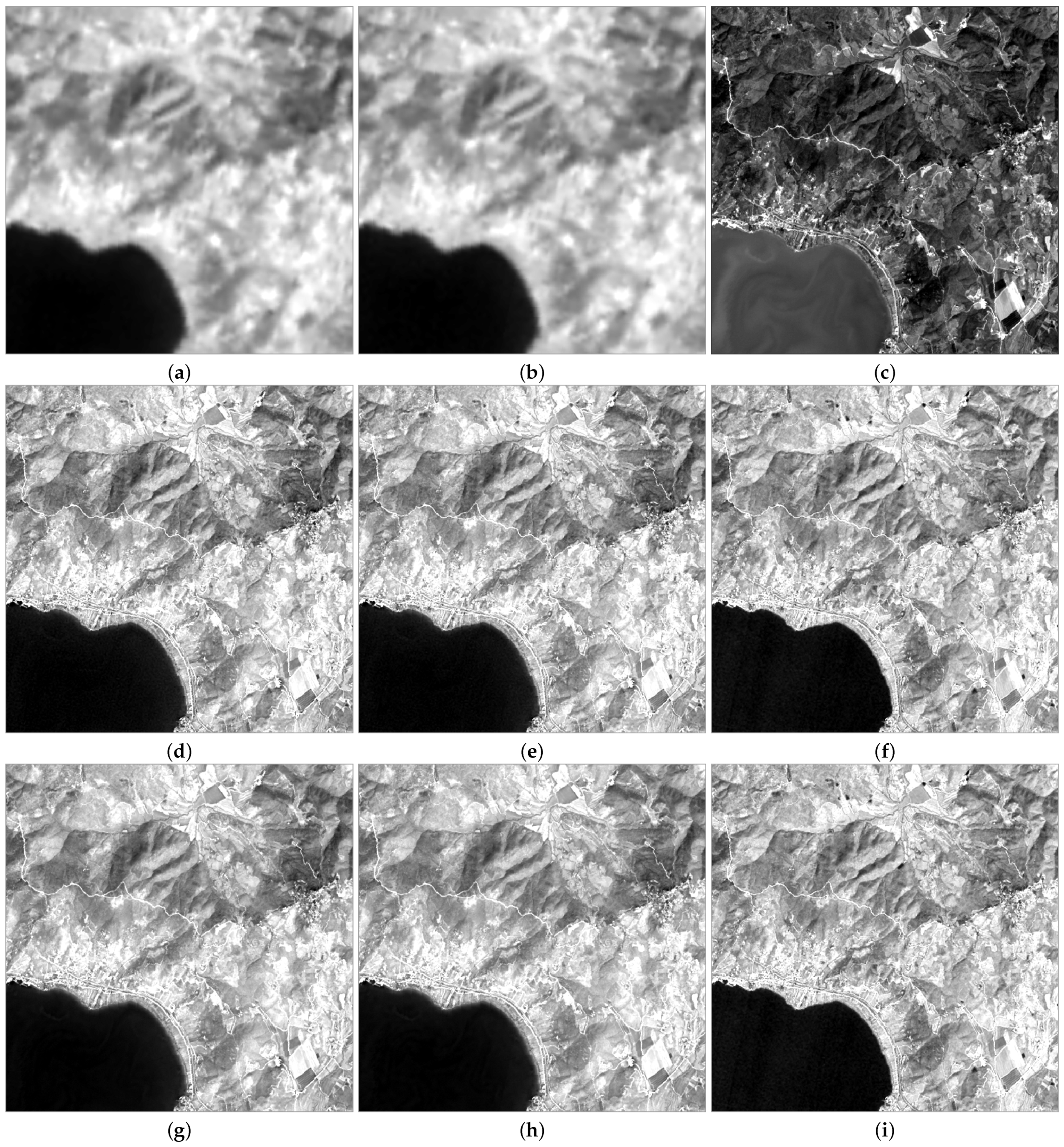 Remotesensing 16 04694 g006