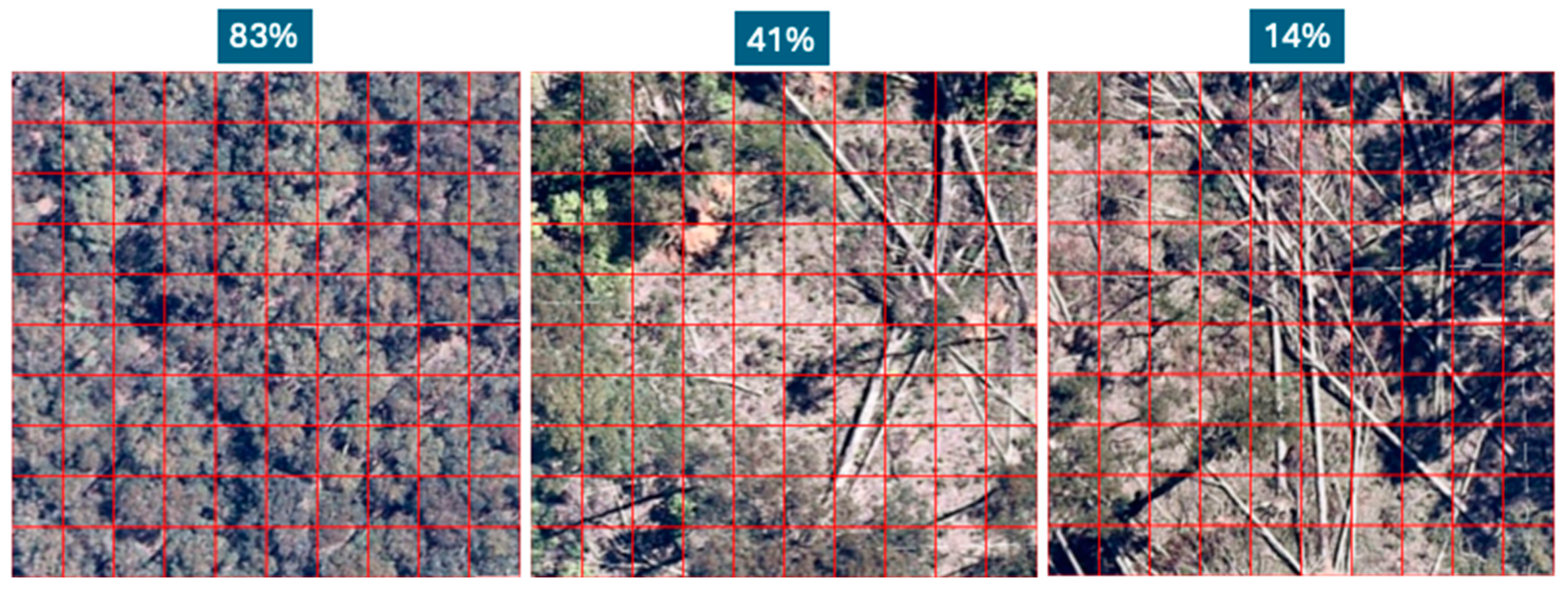 Remotesensing 16 04710 g004