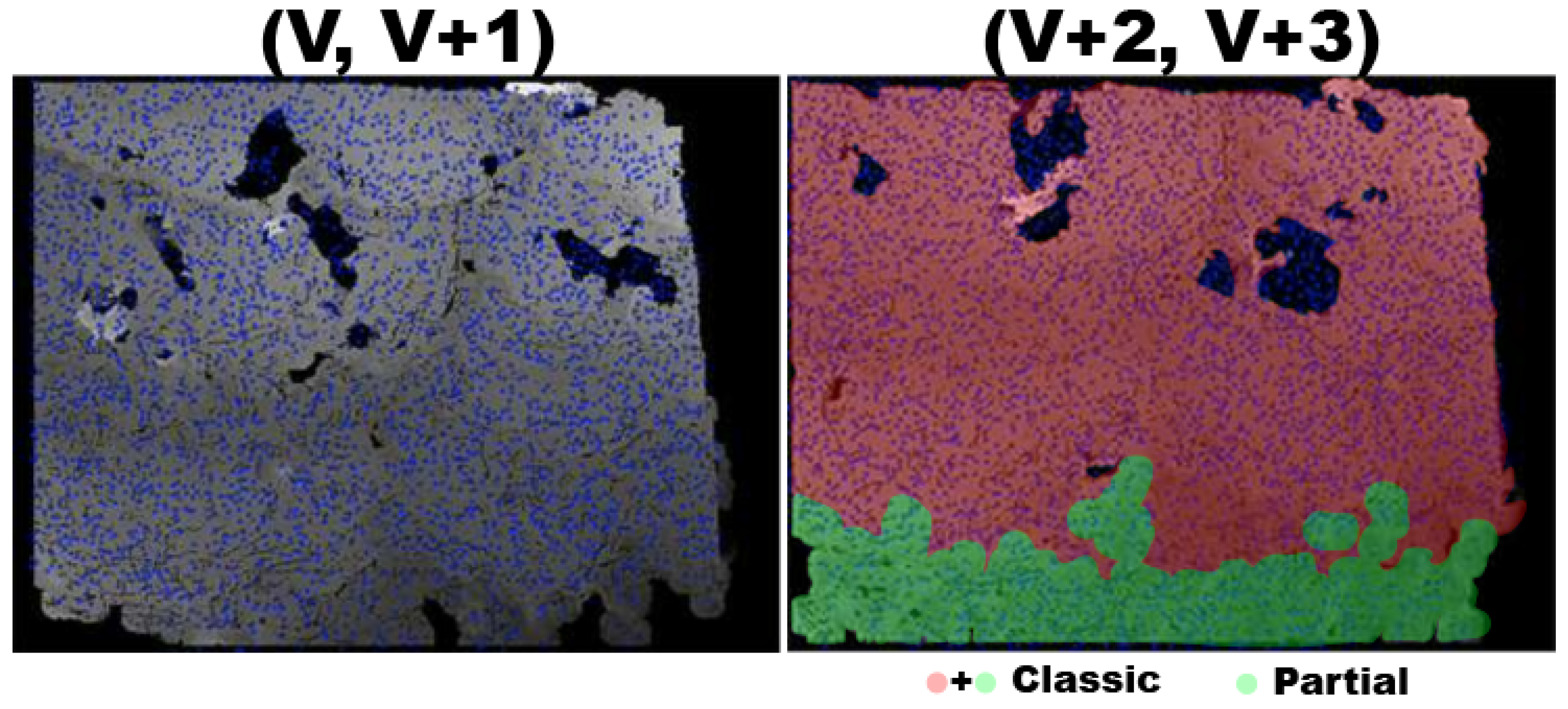 Remotesensing 16 04737 g013
