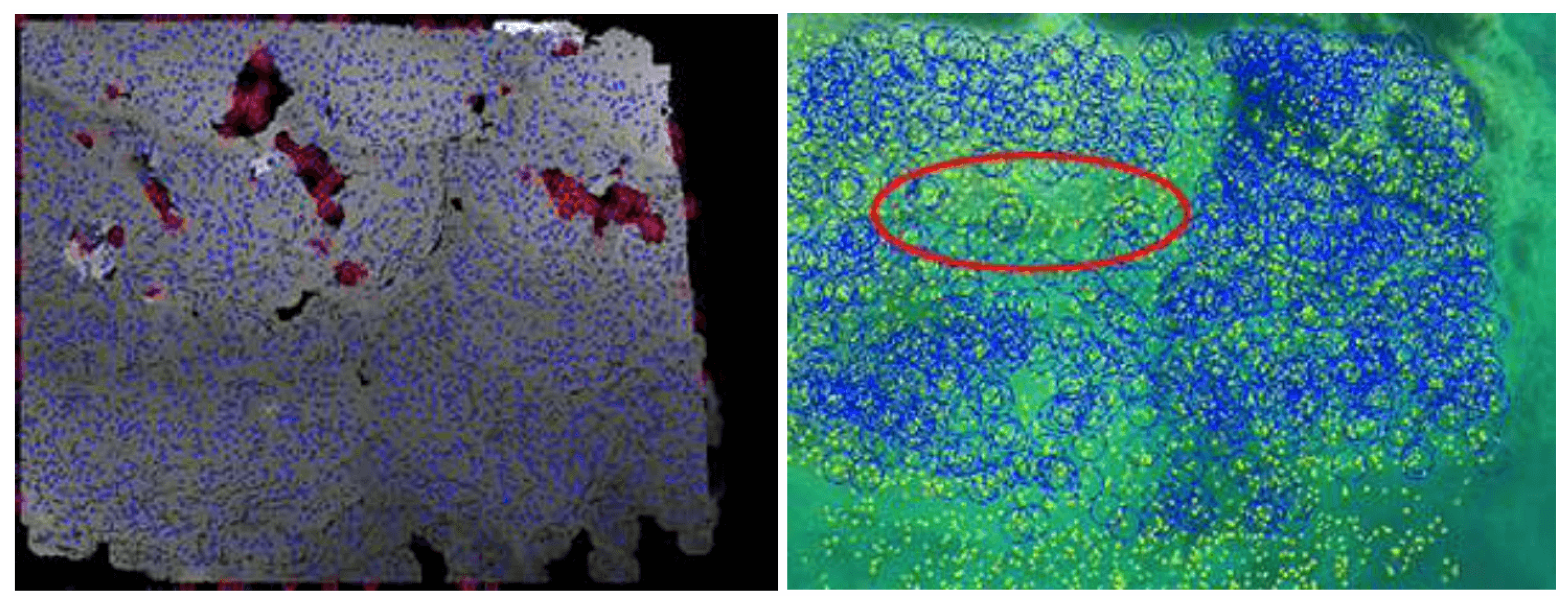 Remotesensing 16 04737 g015