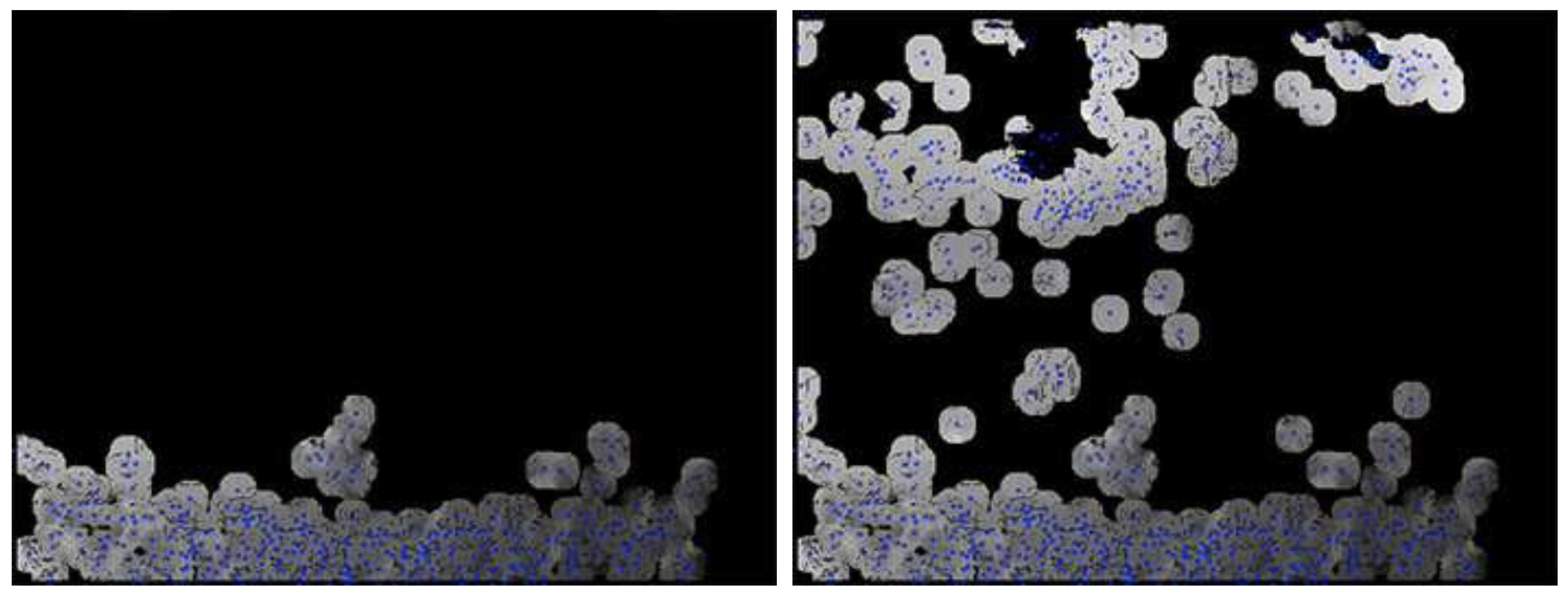 Remotesensing 16 04737 g017