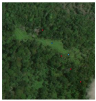 Remotesensing 16 04776 i007