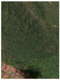 Remotesensing 16 04776 i009