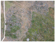 Remotesensing 16 04786 i003