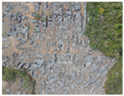 Remotesensing 16 04786 i004