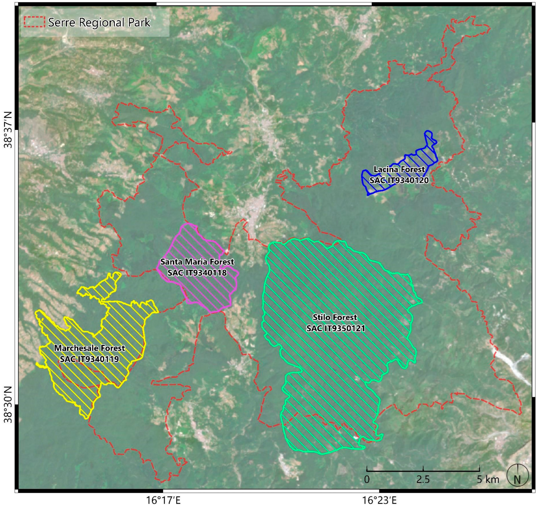 Remotesensing 16 04788 g002