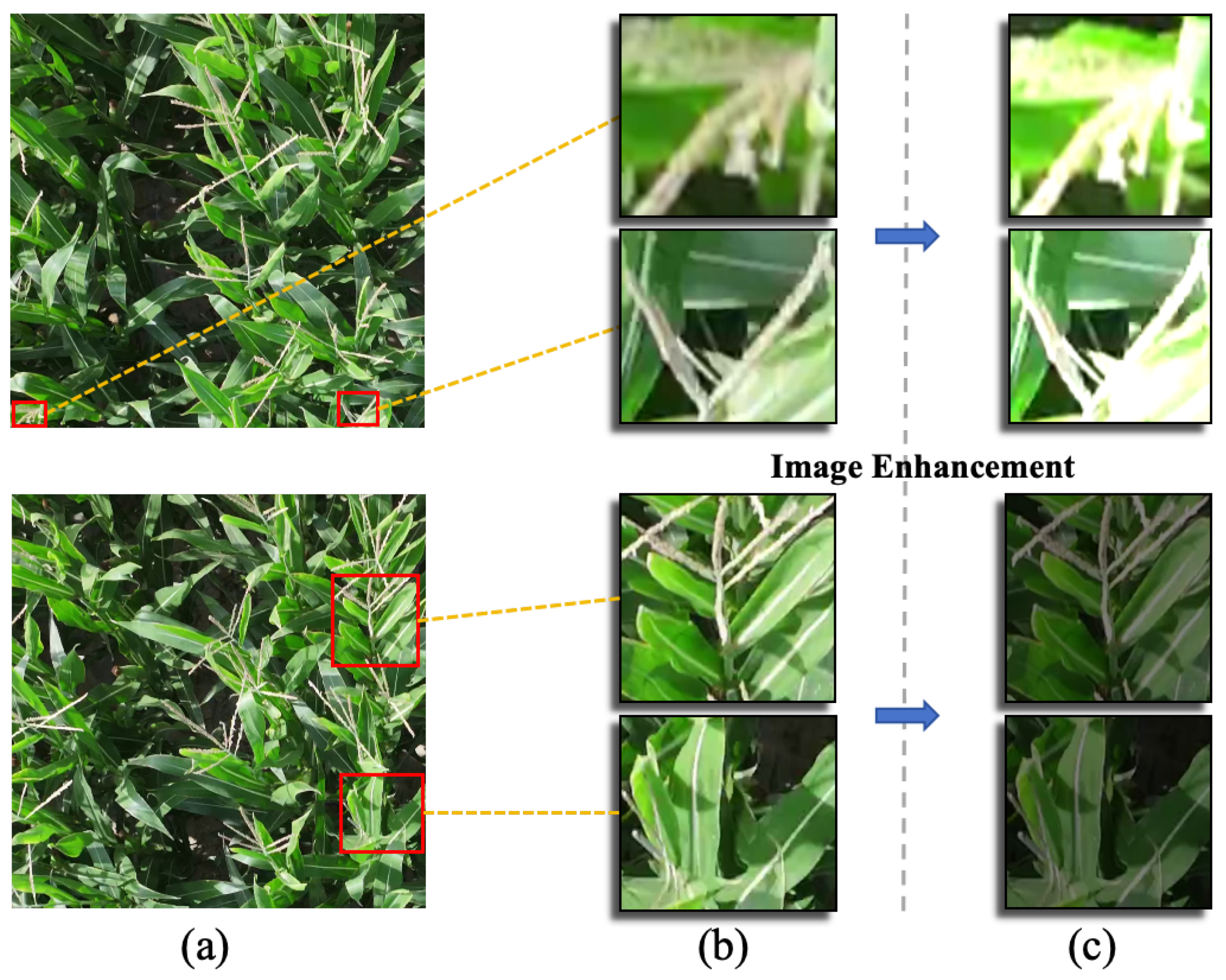 Remotesensing 17 00003 g001