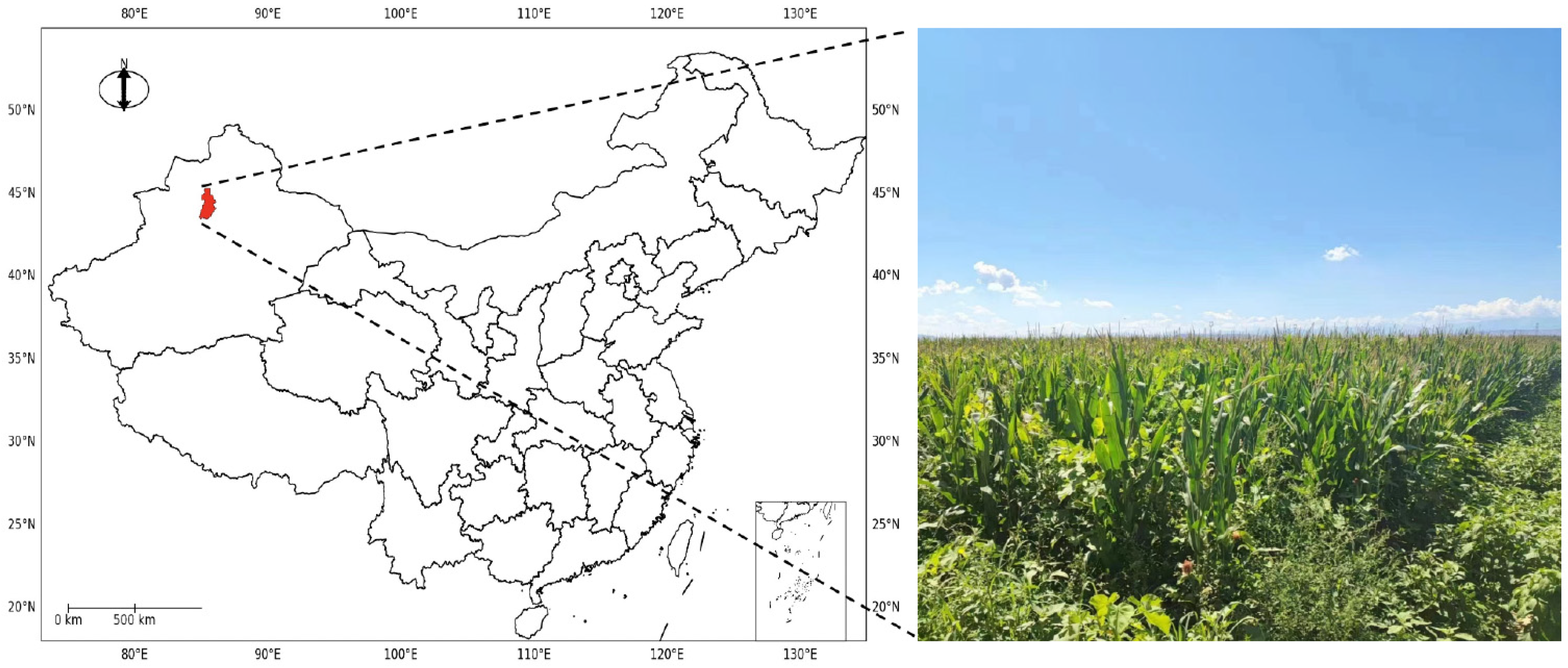 Remotesensing 17 00003 g002