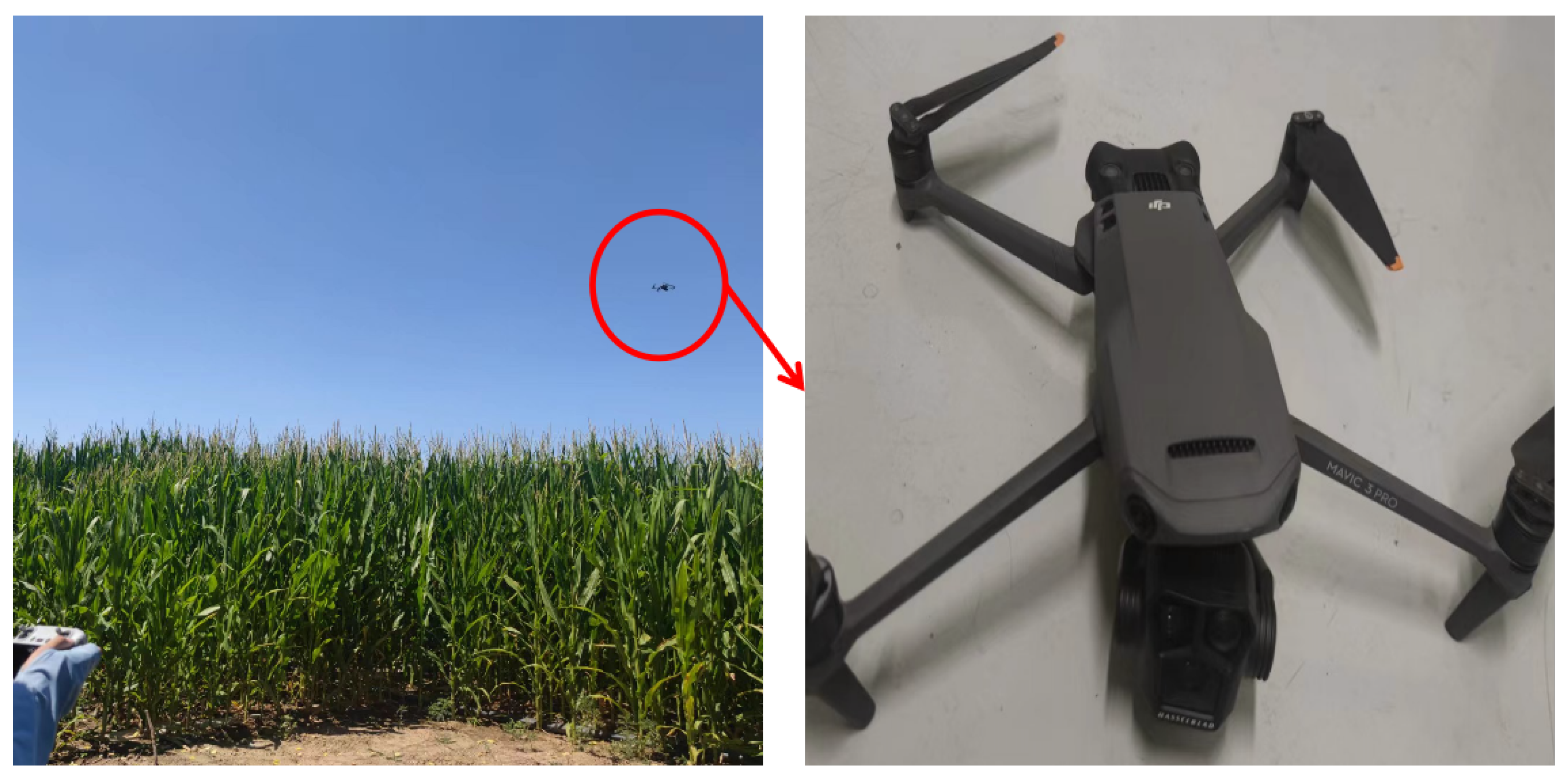 Remotesensing 17 00003 g003