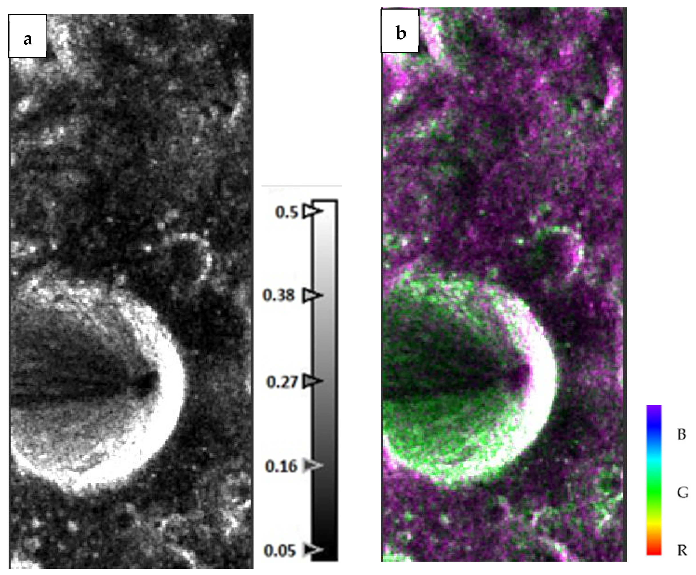 Remotesensing 17 00031 g004