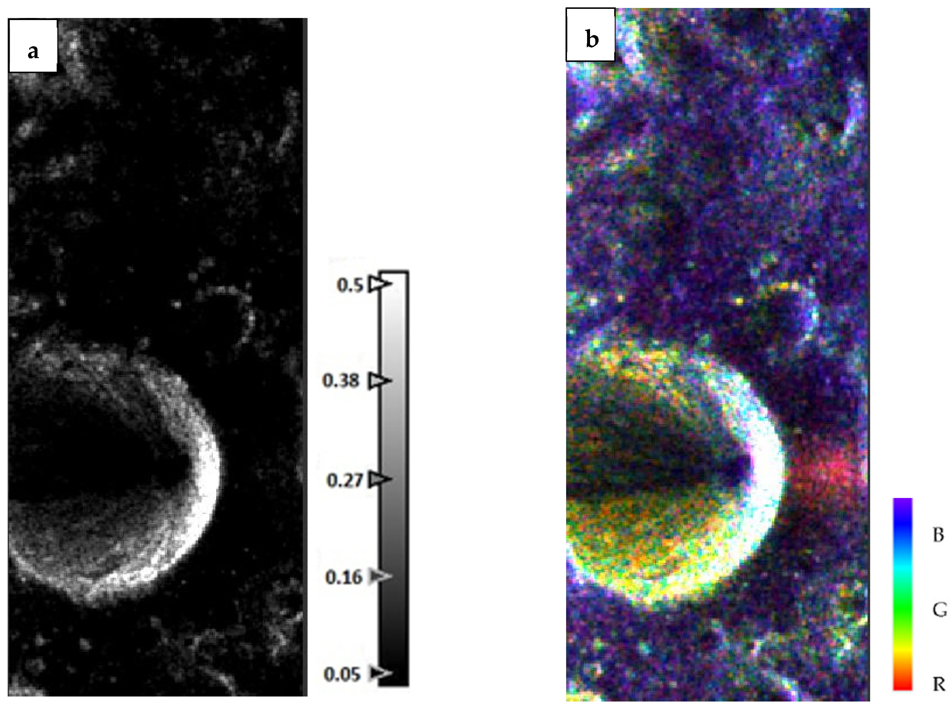 Remotesensing 17 00031 g006