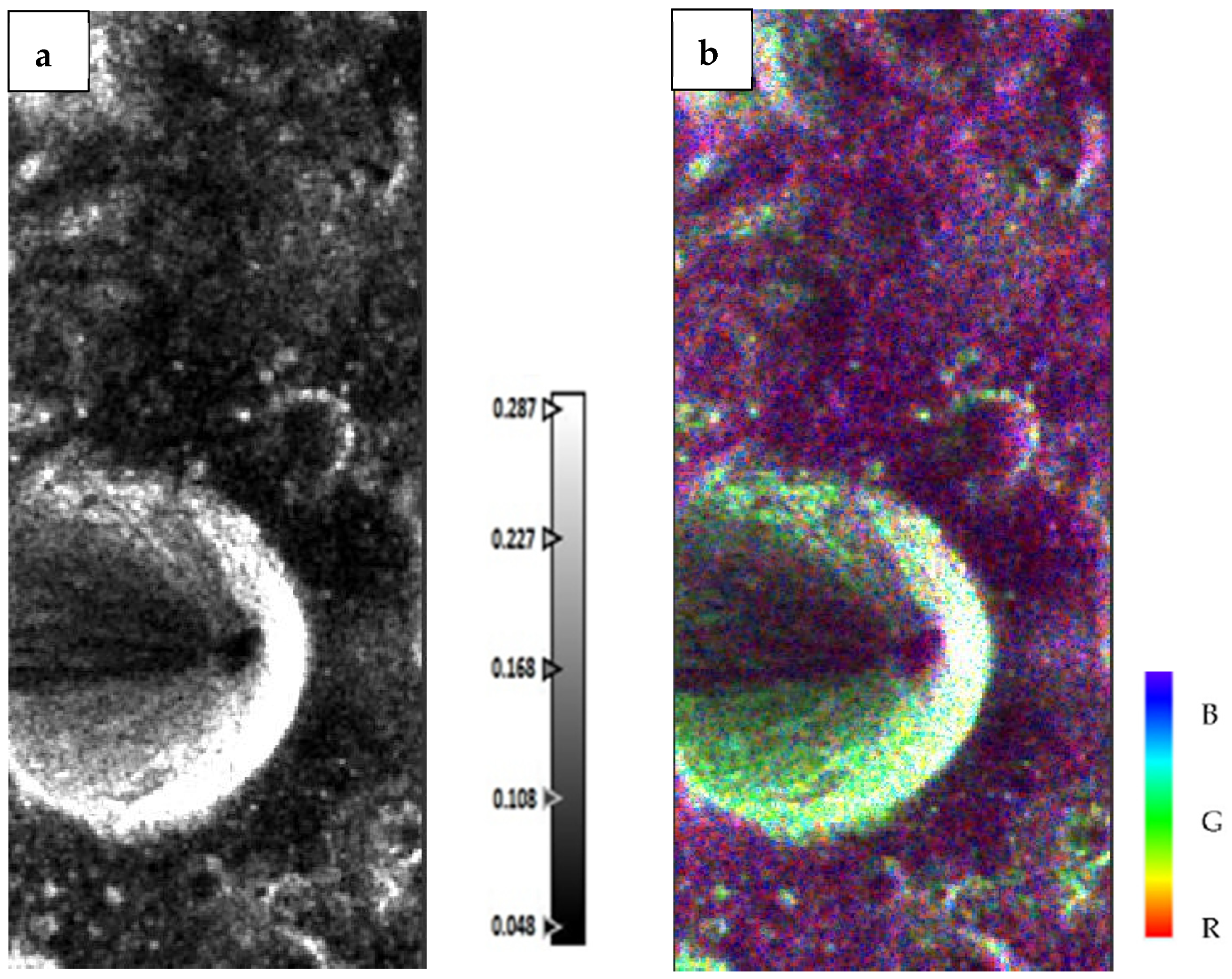 Remotesensing 17 00031 g008