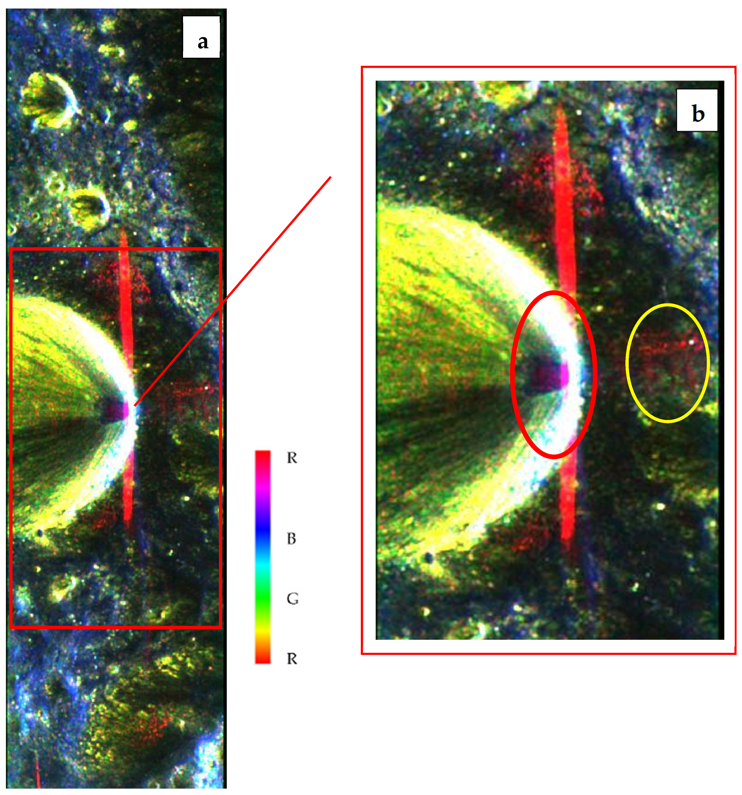Remotesensing 17 00031 g011