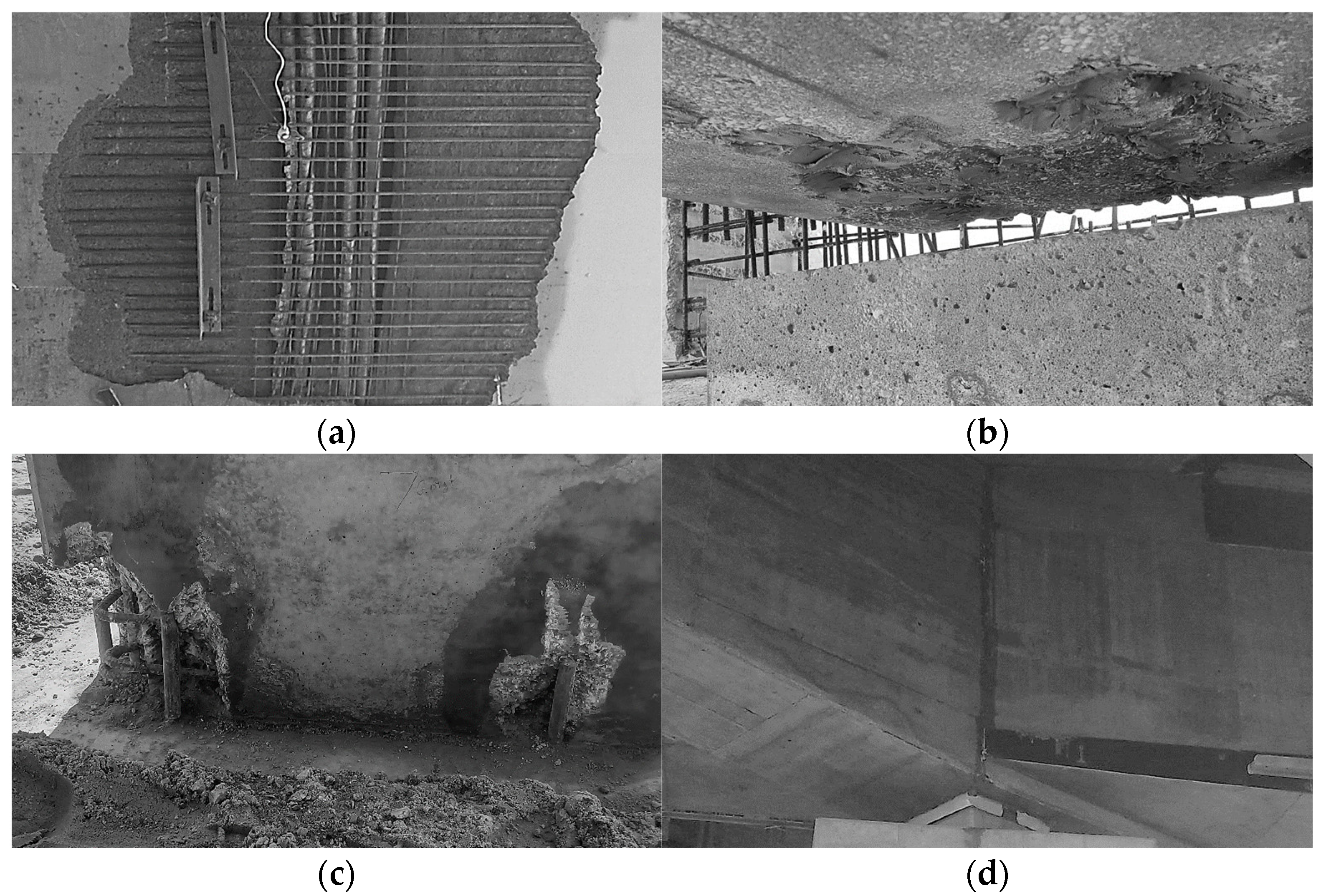 Remotesensing 17 00035 g003