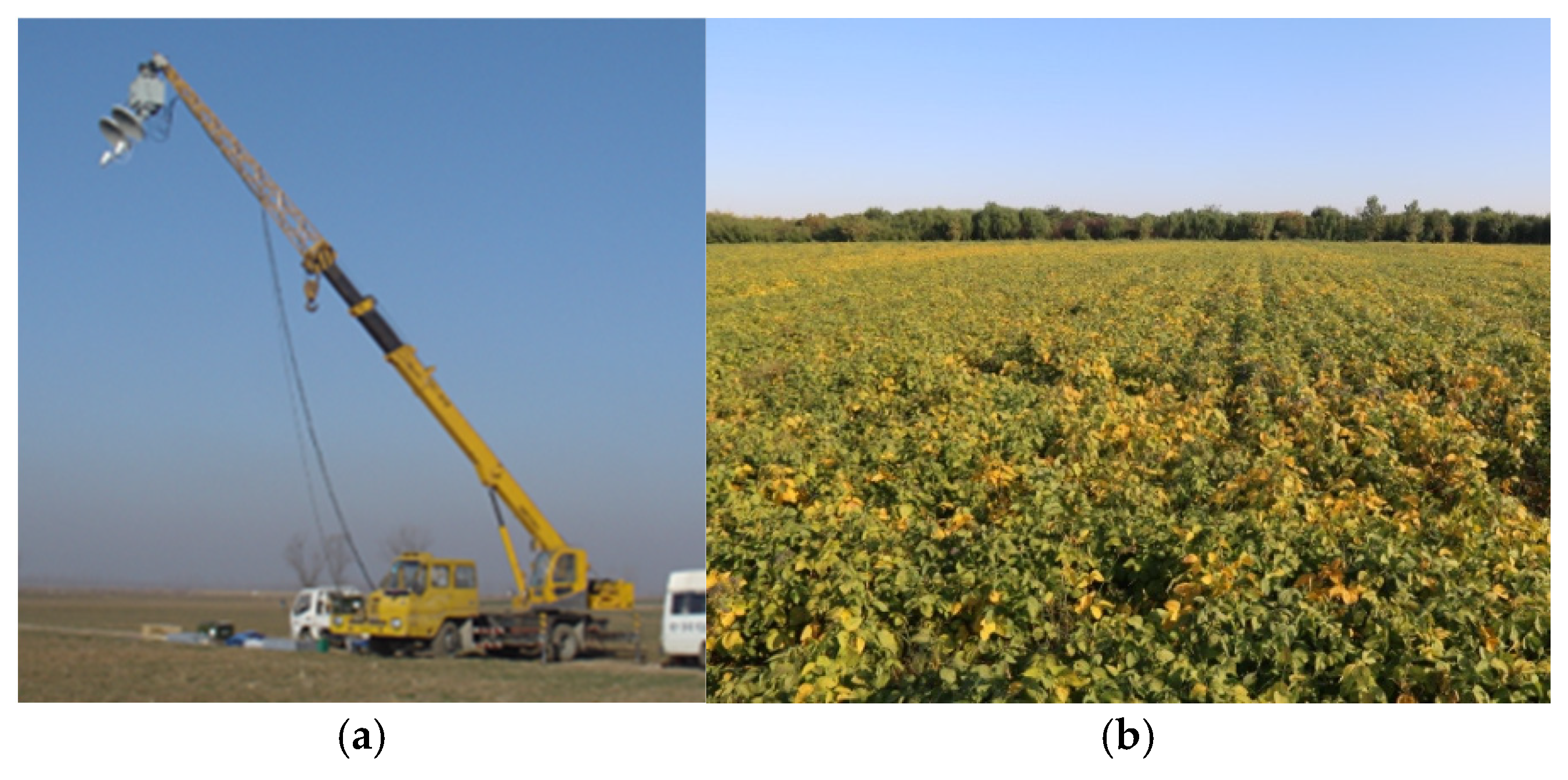 Remotesensing 17 00041 g001