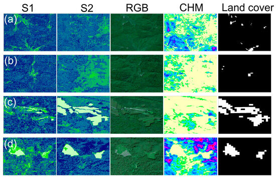 Remotesensing 17 00047 g008