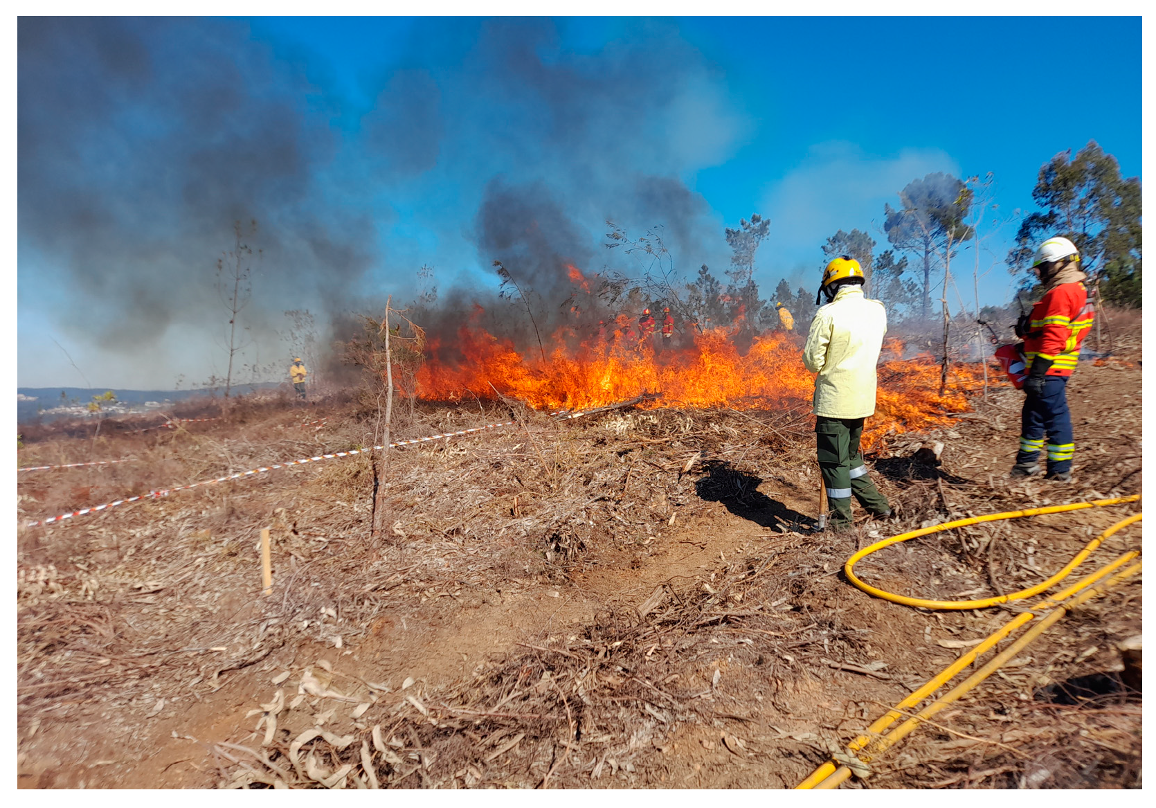 Remotesensing 17 00051 g002