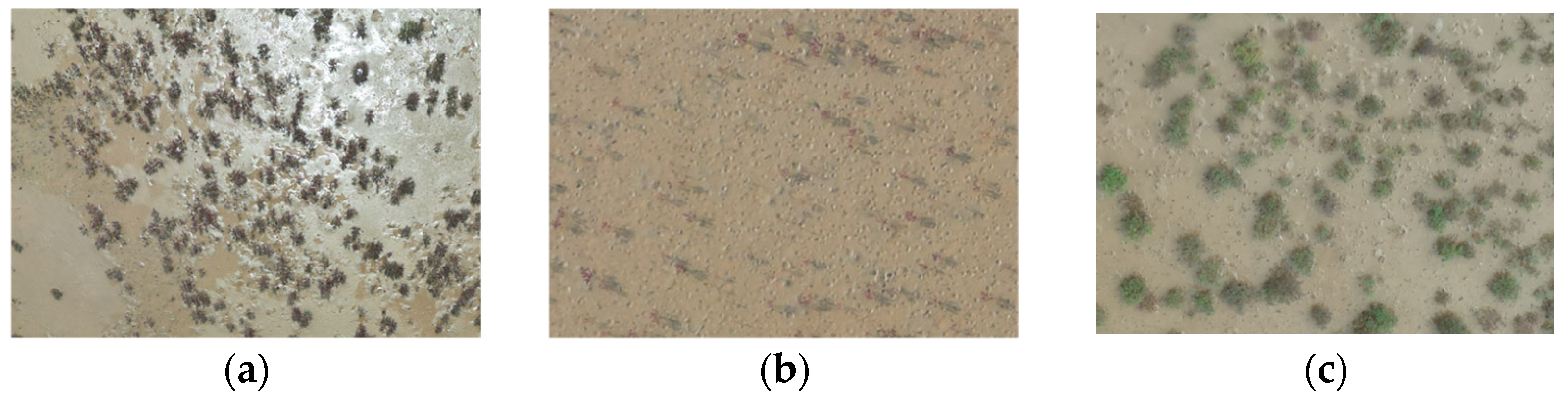 Remotesensing 17 00056 g010