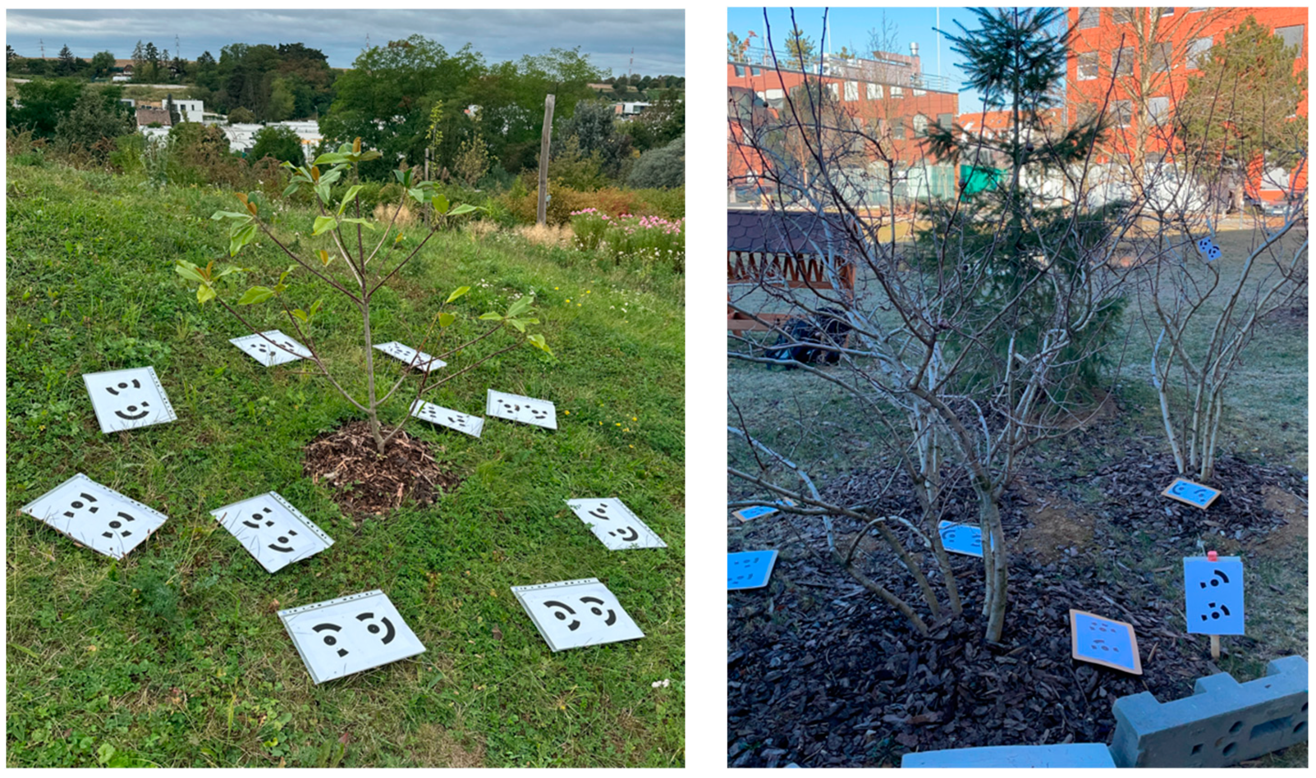 Remotesensing 17 00202 g003 Remotesensing 17 00202 g003