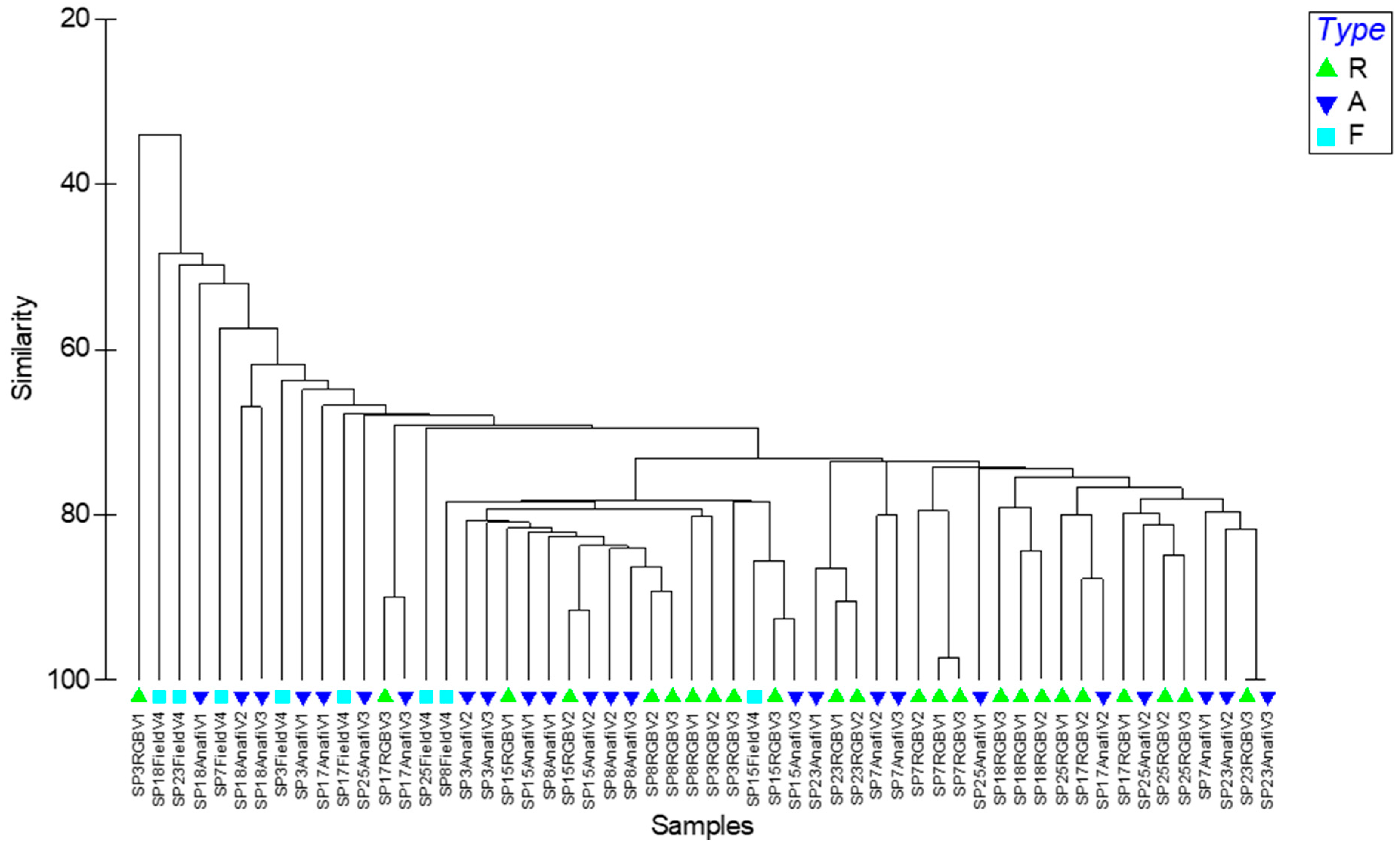 Remotesensing 17 00223 g007