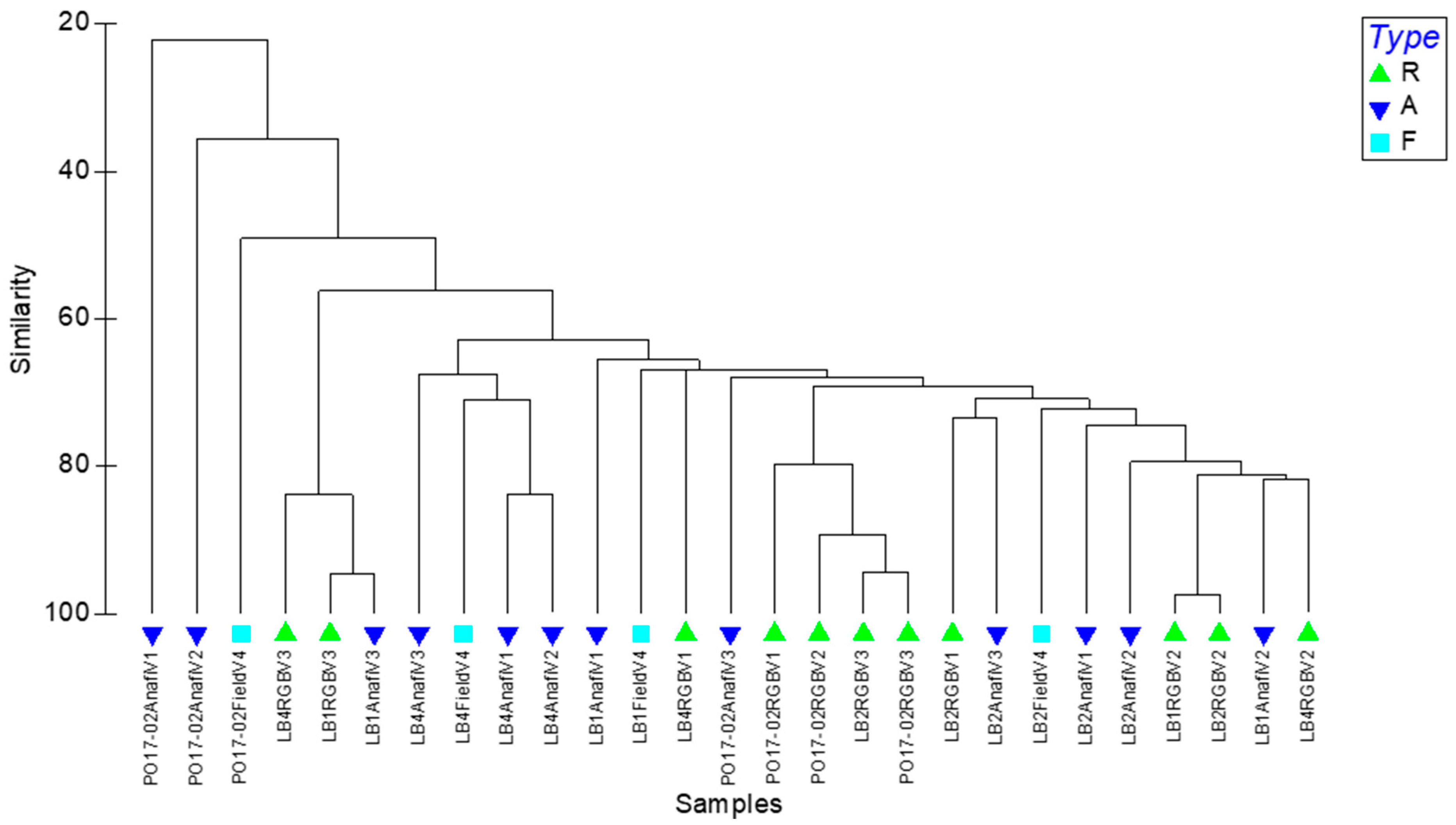 Remotesensing 17 00223 g008