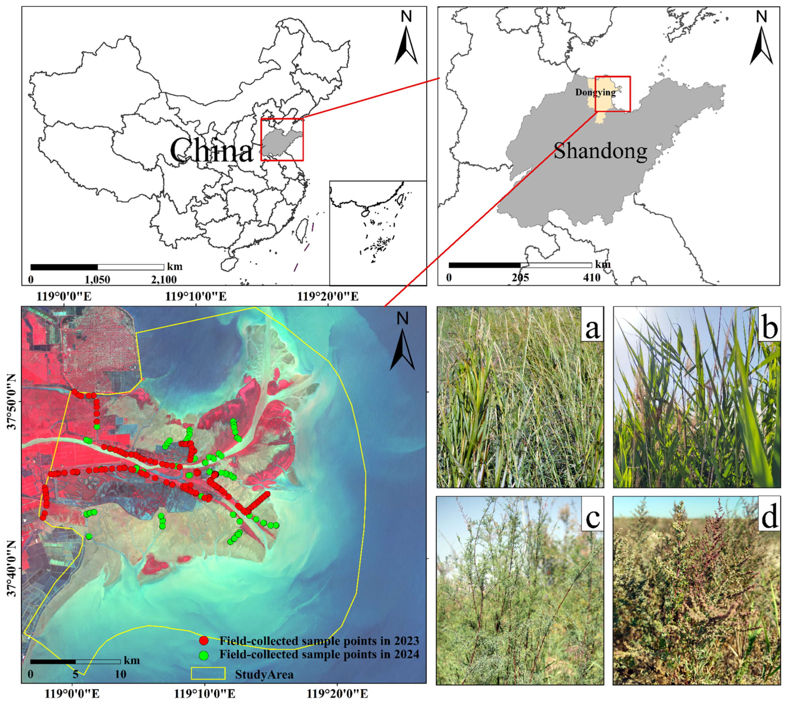 Remotesensing 17 00226 g001