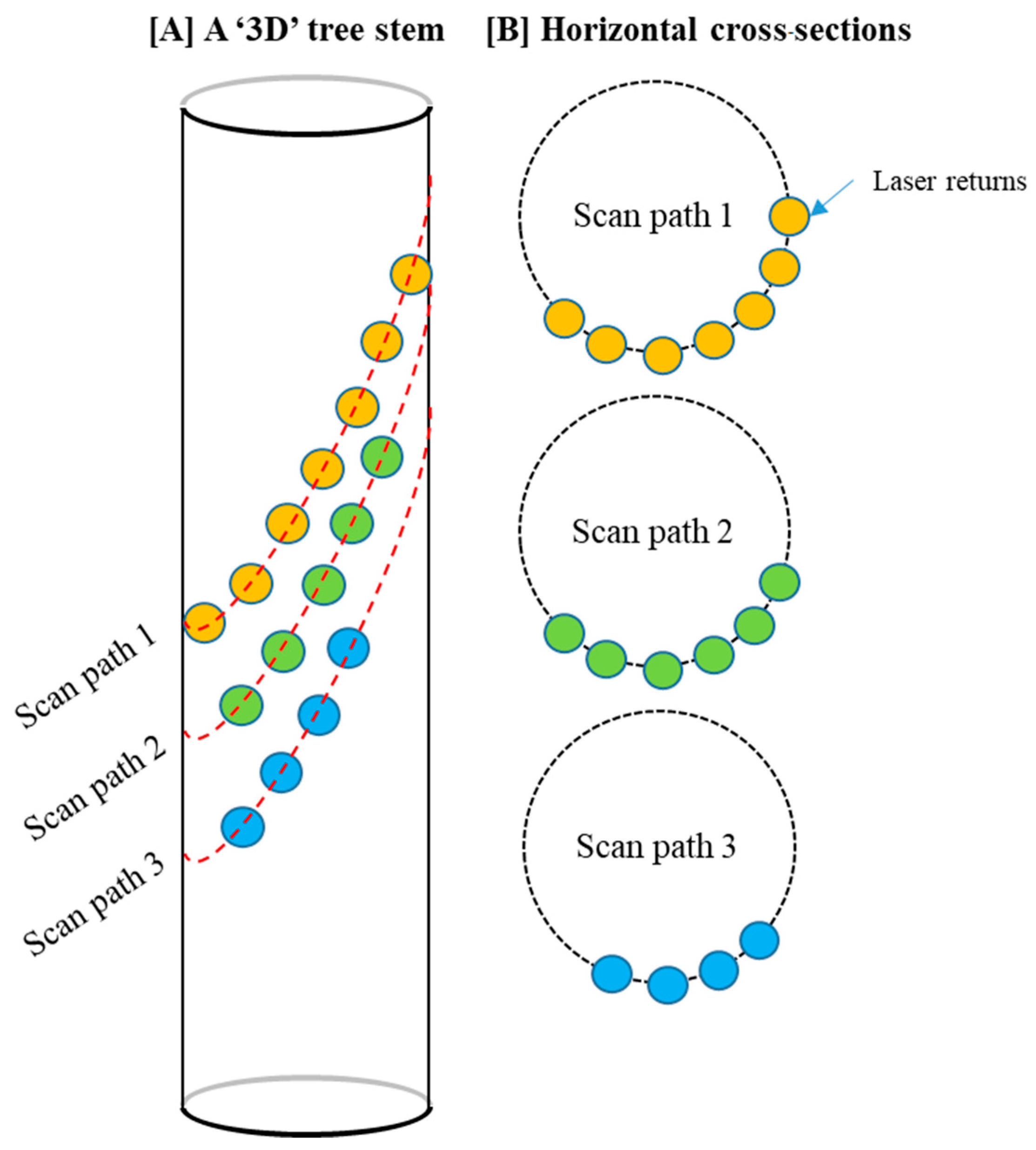 Remotesensing 17 00229 g005