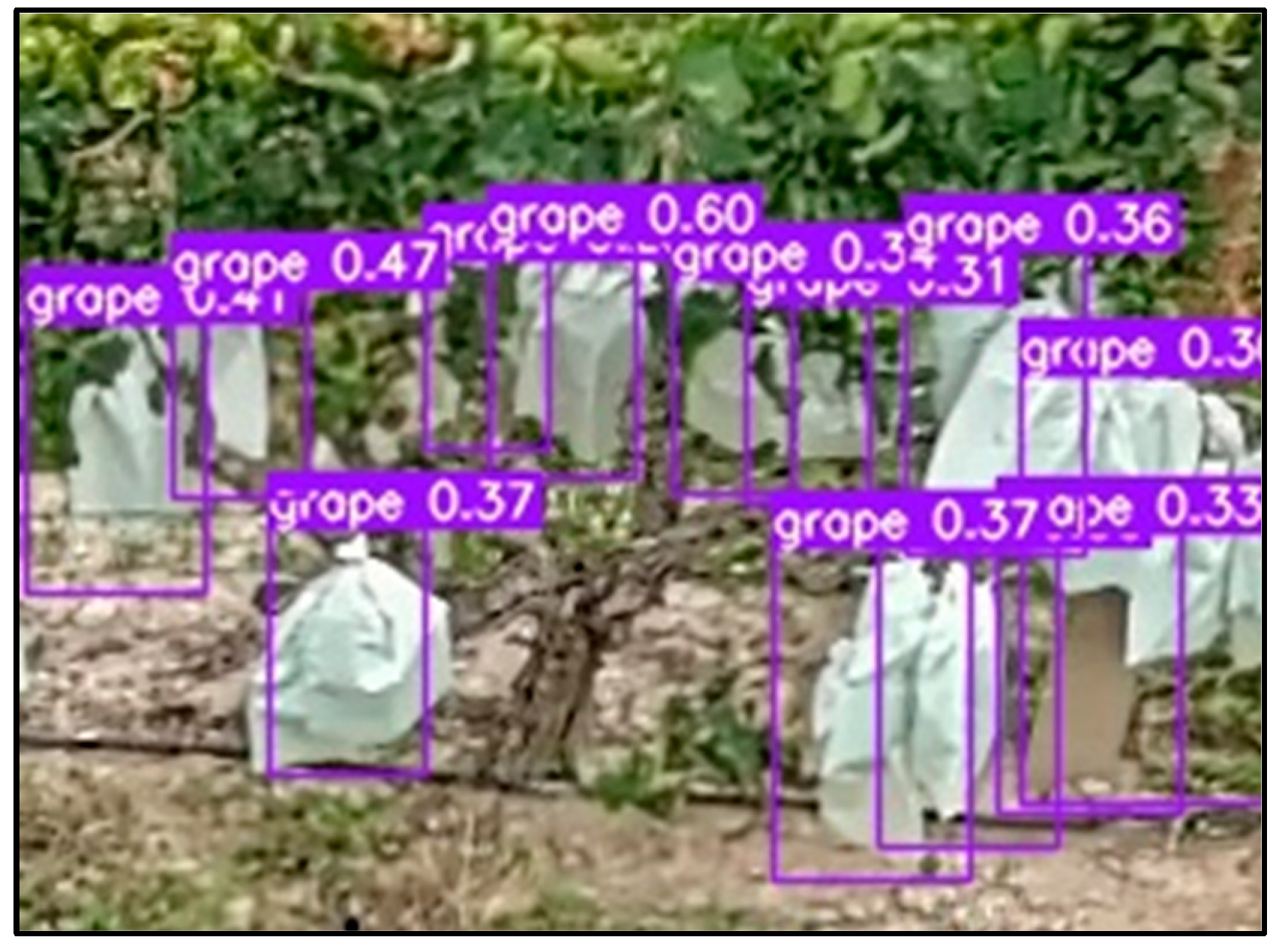 Remotesensing 17 00243 g002