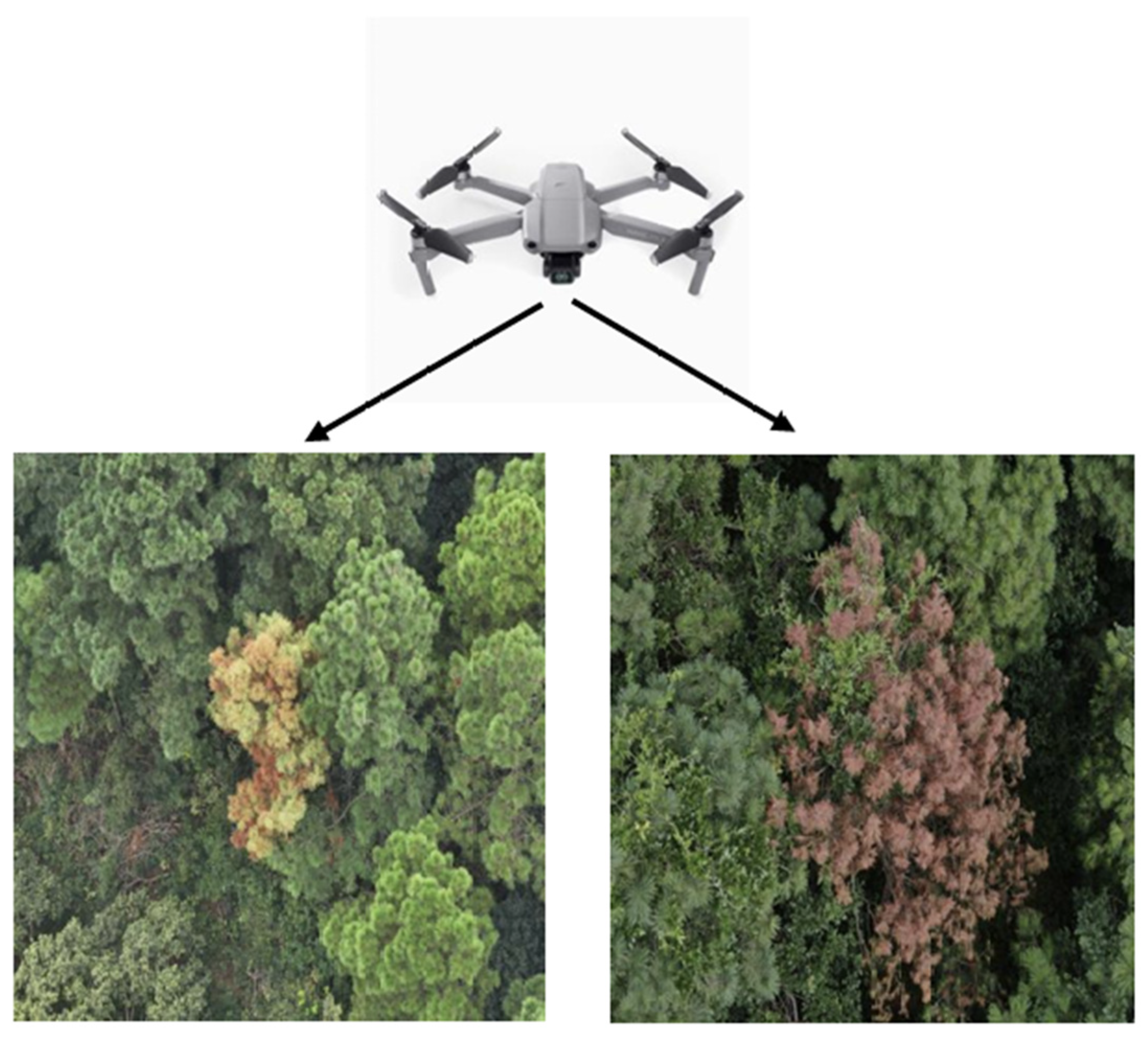 Remotesensing 17 00255 g002