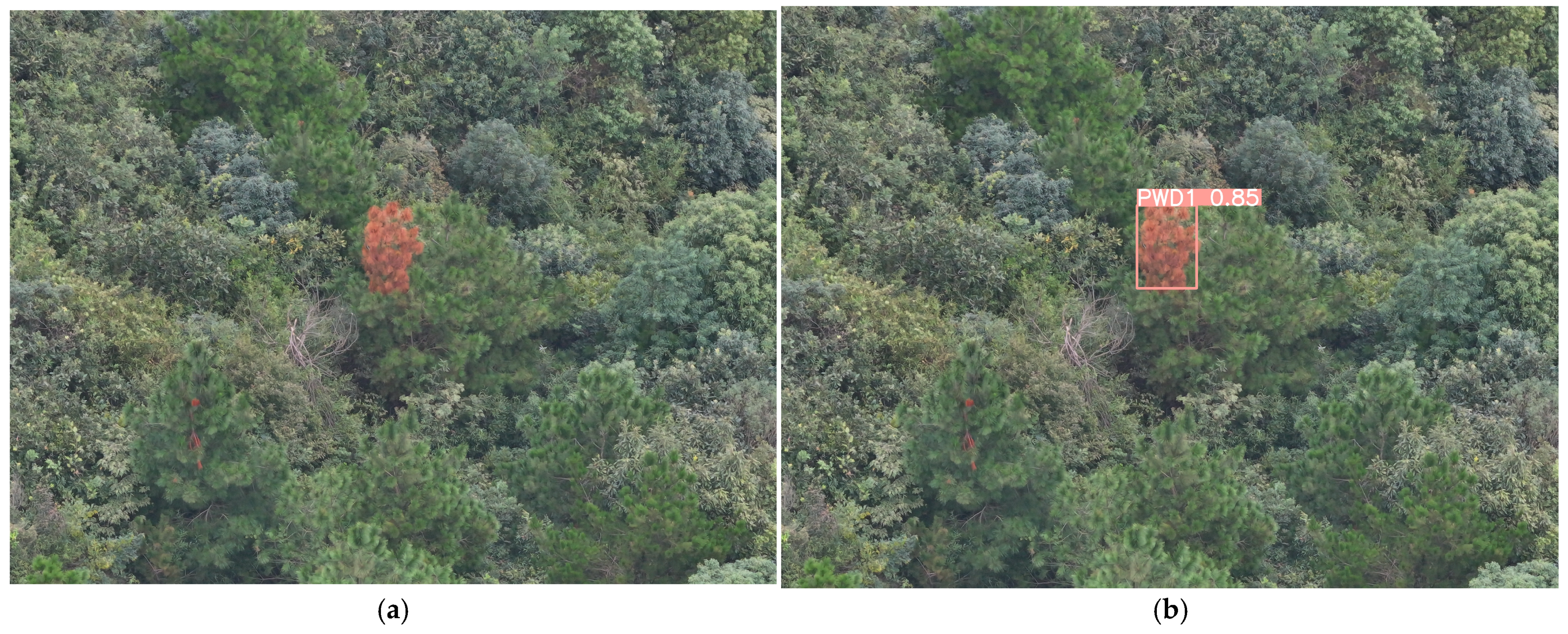 Remotesensing 17 00255 g014a