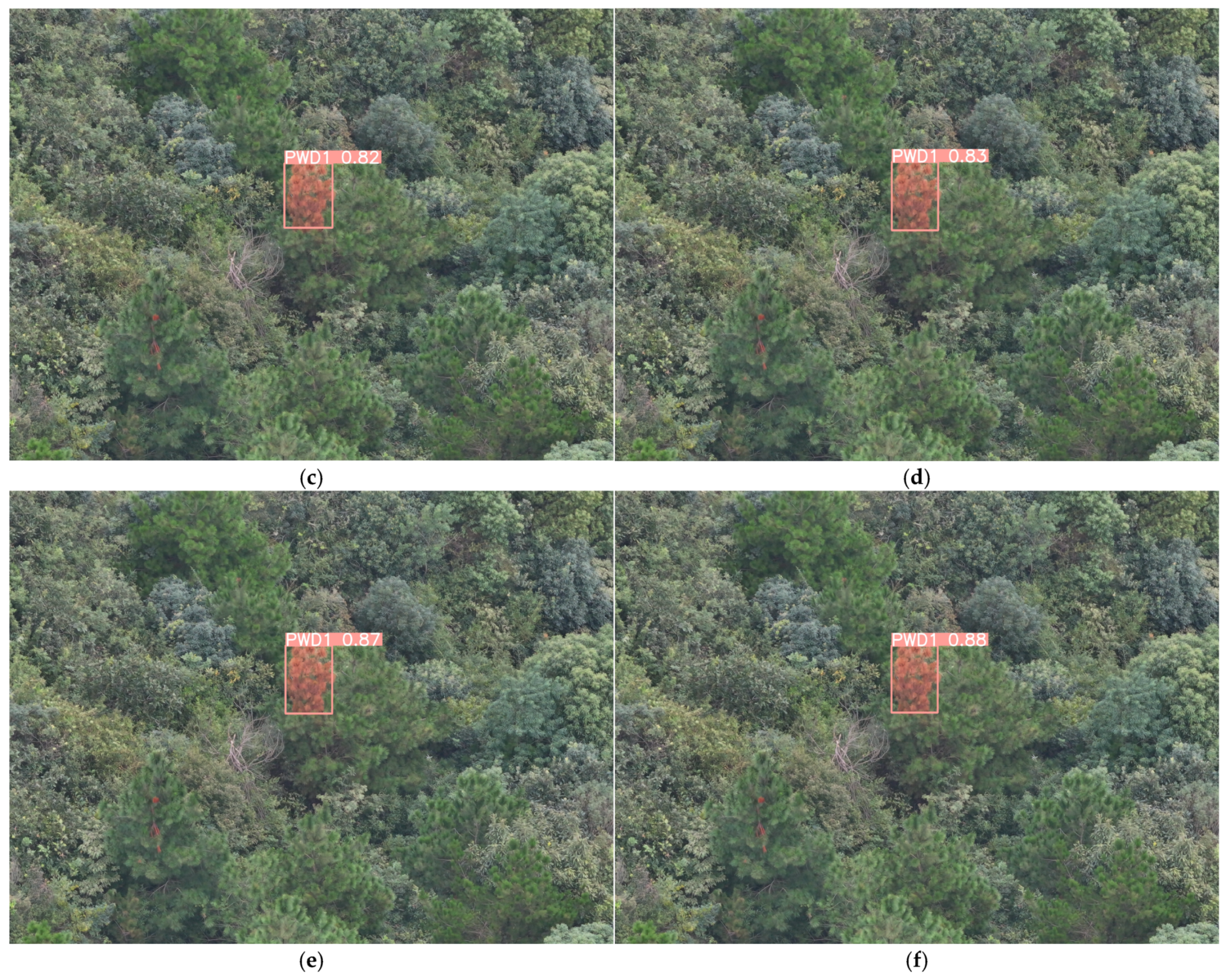 Remotesensing 17 00255 g014b